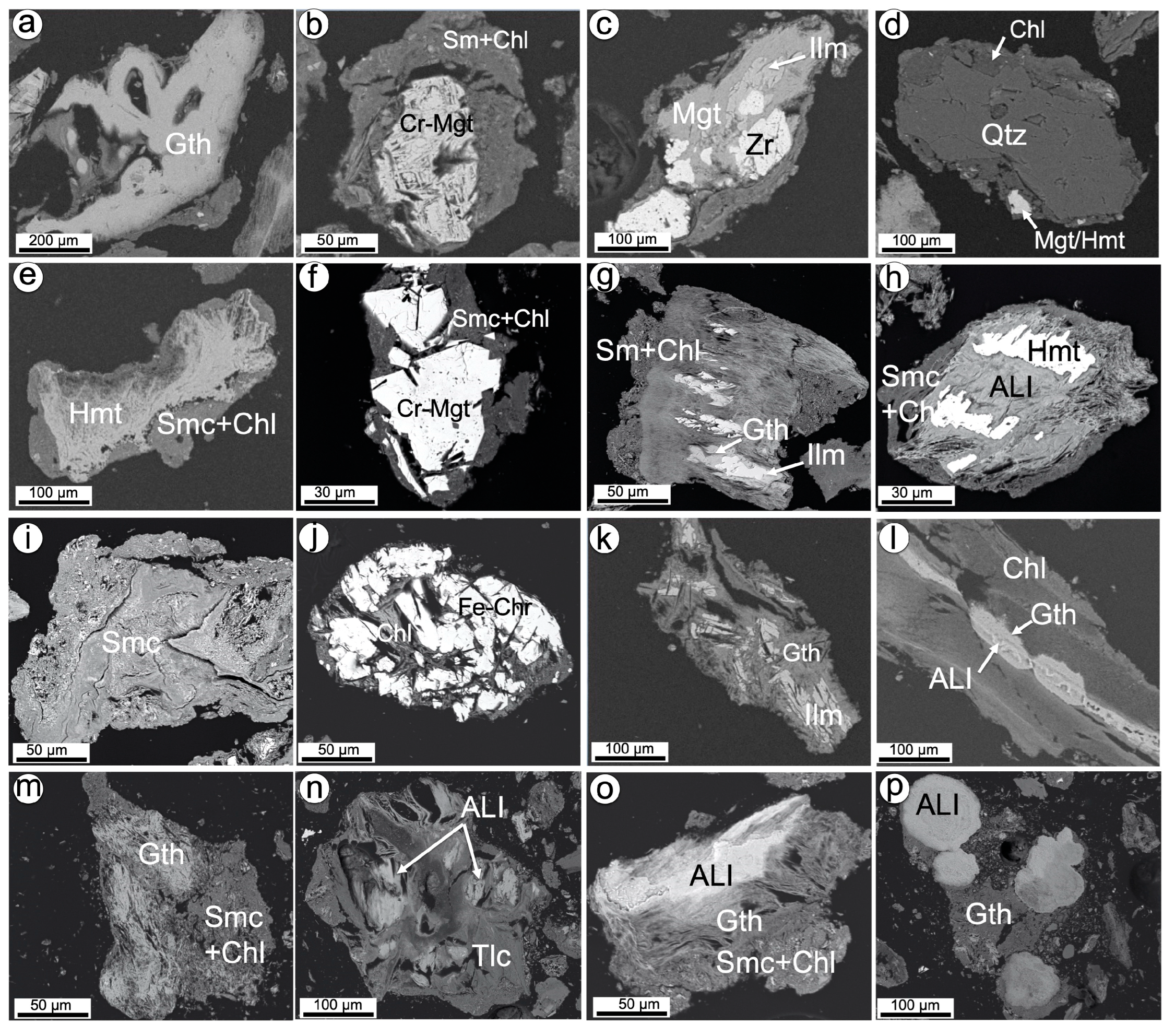Minerals 13 00844 g015