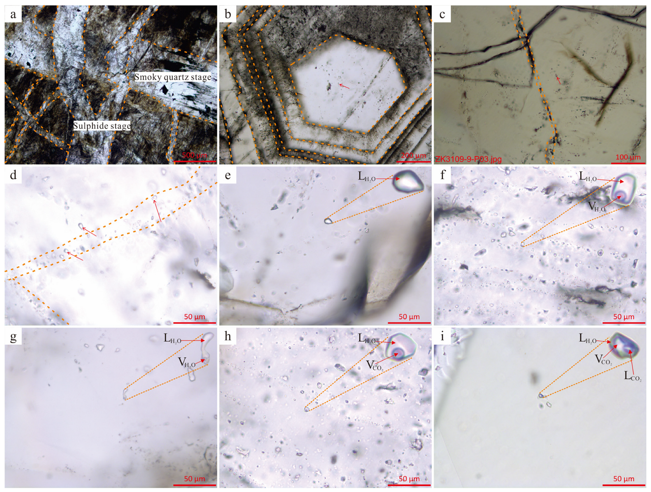 Minerals 13 00896 g007