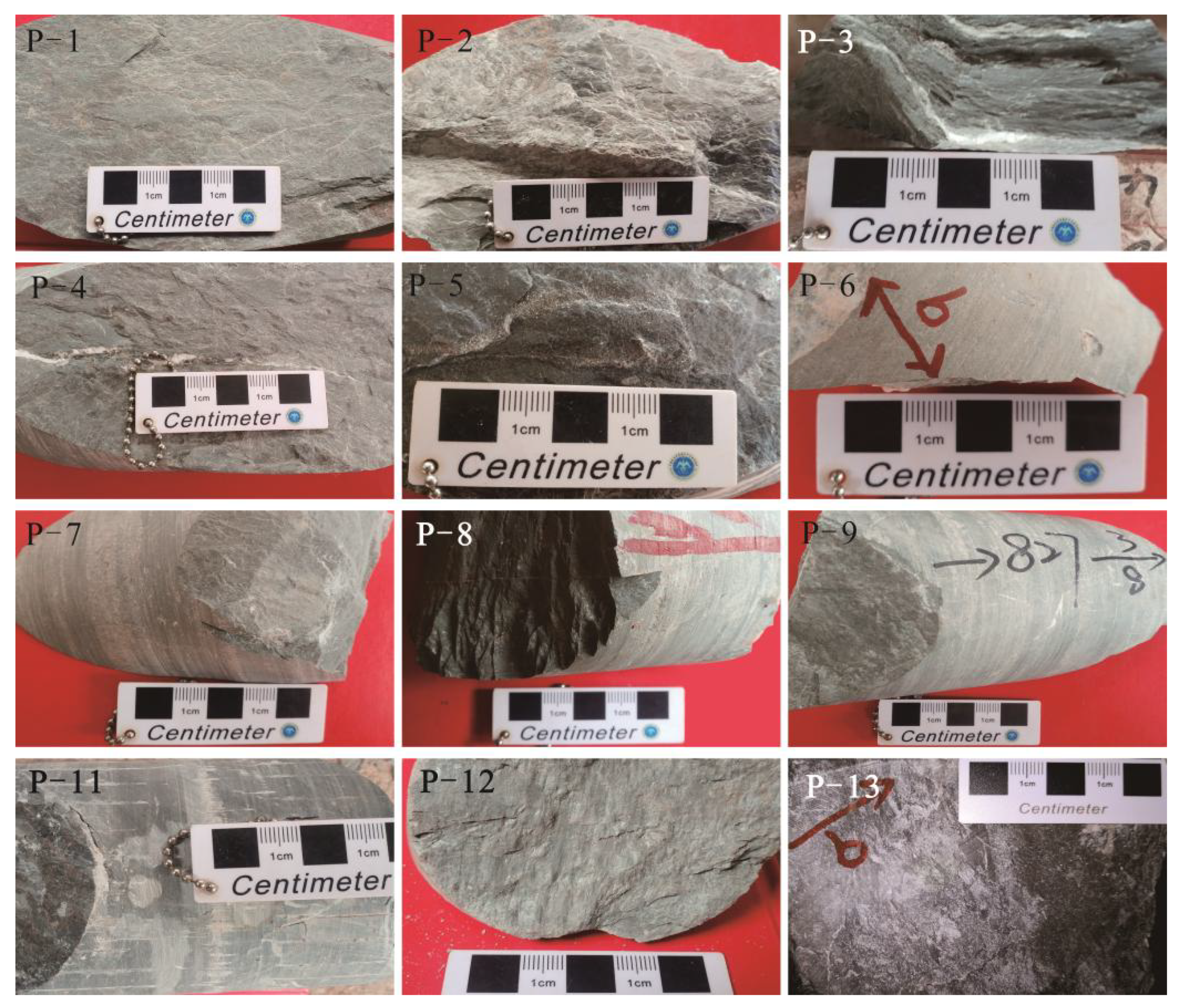 Minerals 13 00949 g005