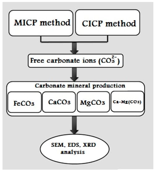 MgCO3 + HCl: Phản Ứng Ion và Ứng Dụng Thực Tiễn