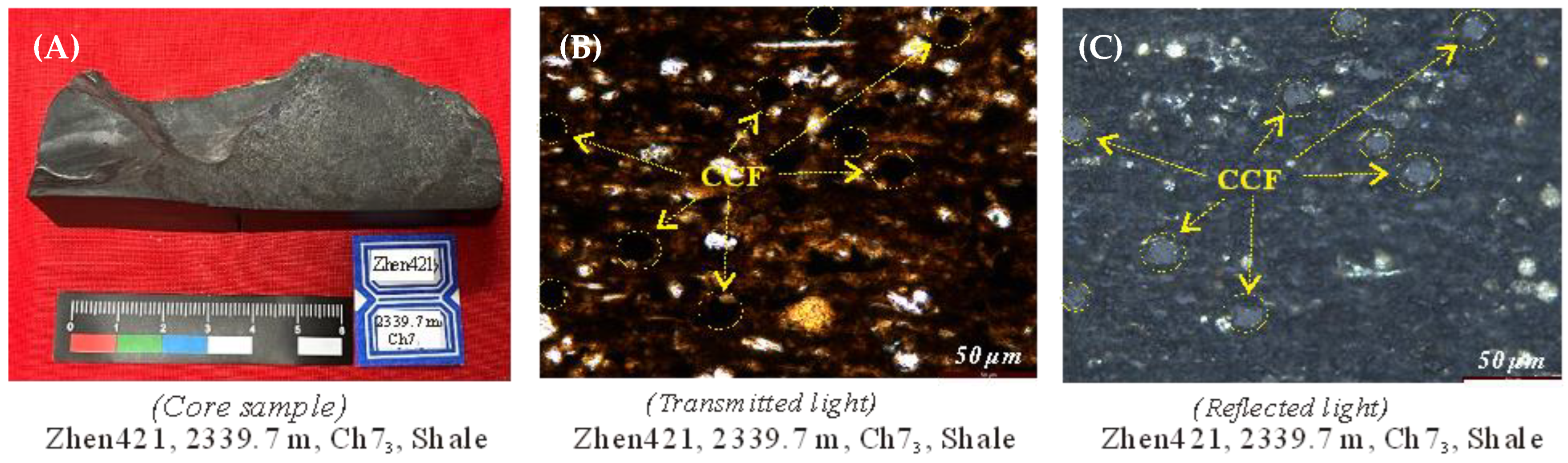 Minerals 13 00991 g005 Minerals 13 00991 g005