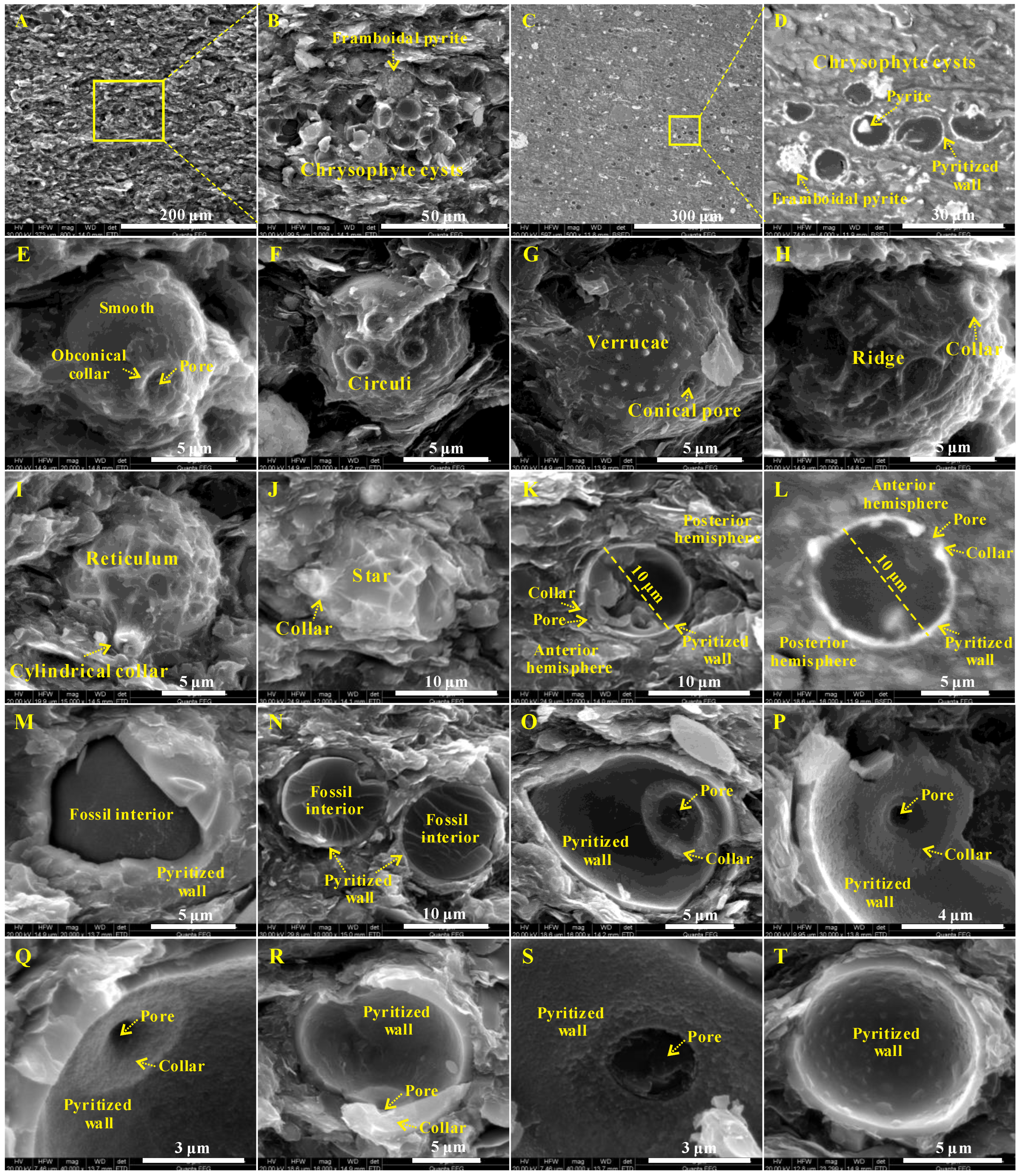 Minerals 13 00991 g006 Minerals 13 00991 g006