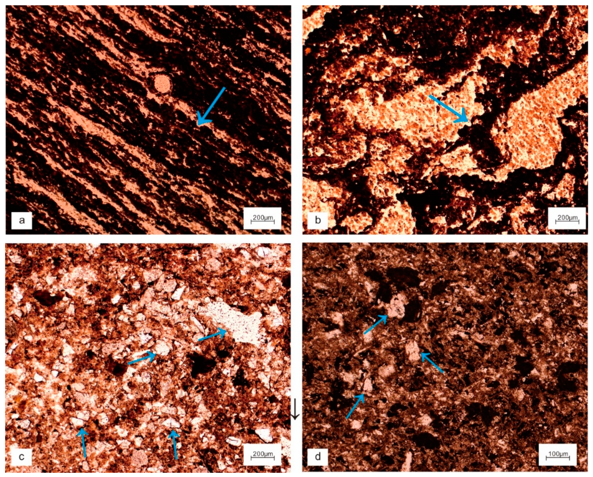 Minerals 13 01075 g006