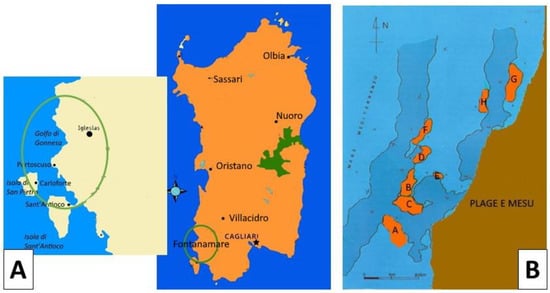 Minerals | Free Full-Text | The Fontanamare Discovery (Sardinia Coast ...