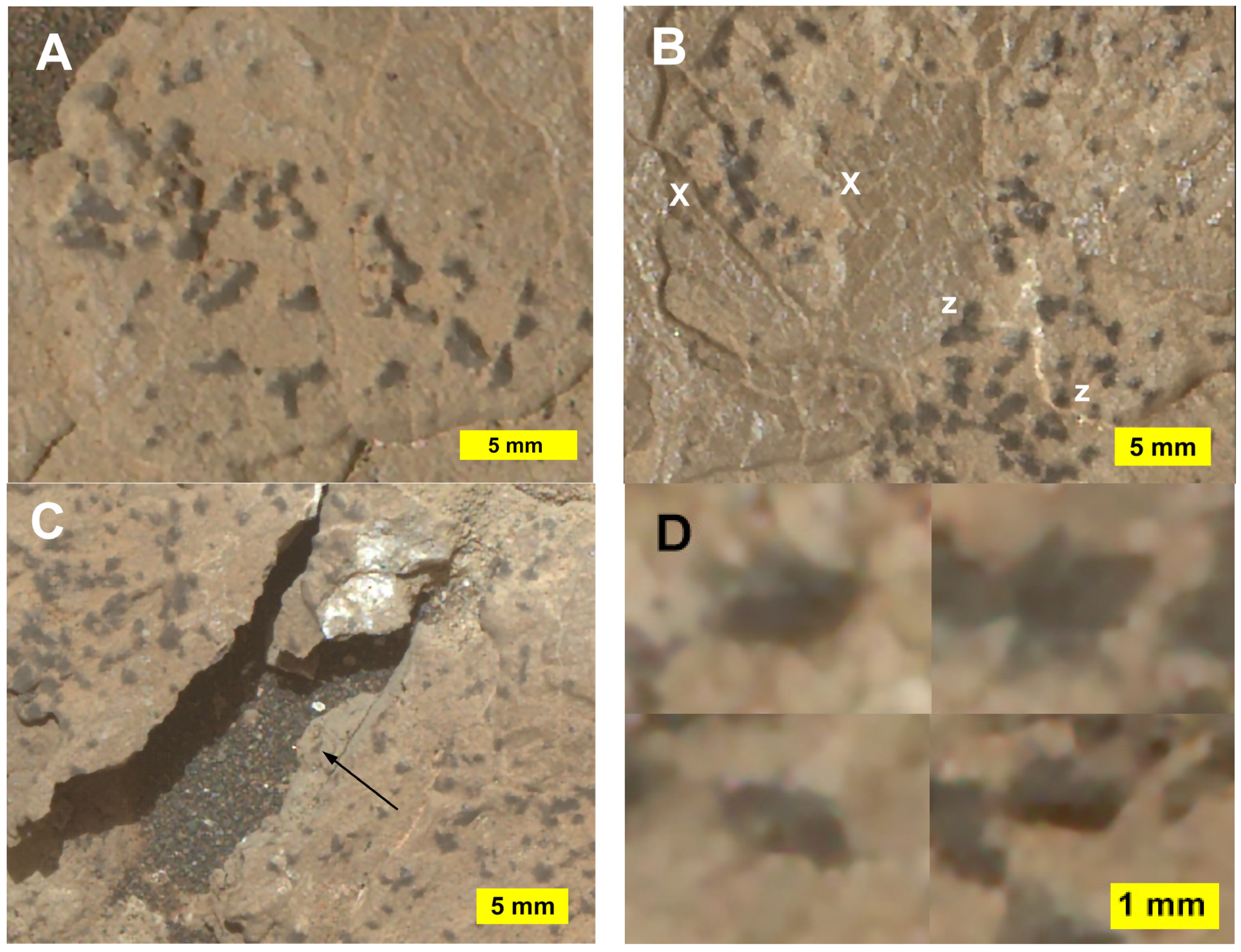 Minerals 13 01122 g005 Minerals 13 01122 g005