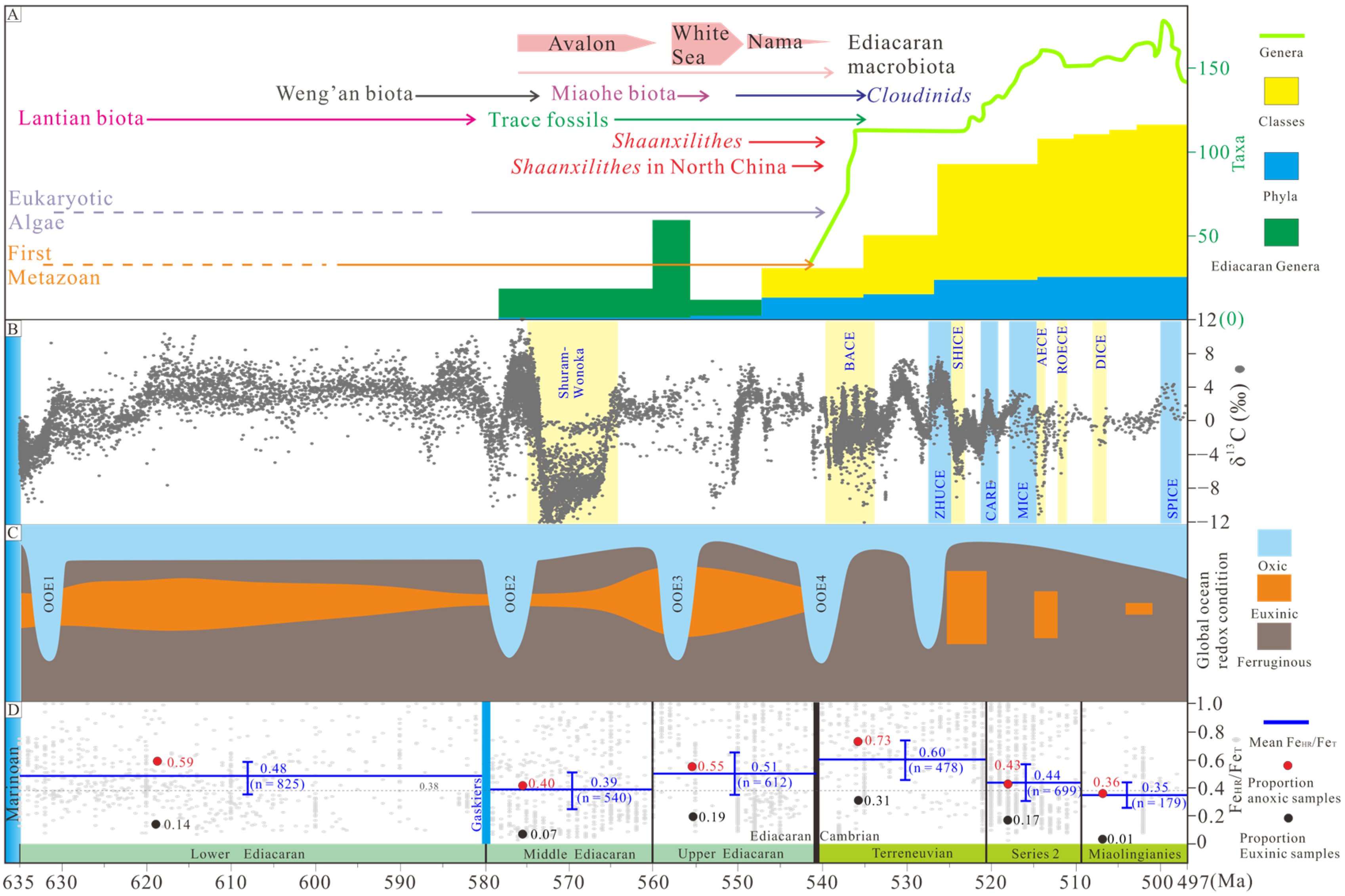 Minerals | Free Full-Text | Redox Conditions of the Late Ediacaran 