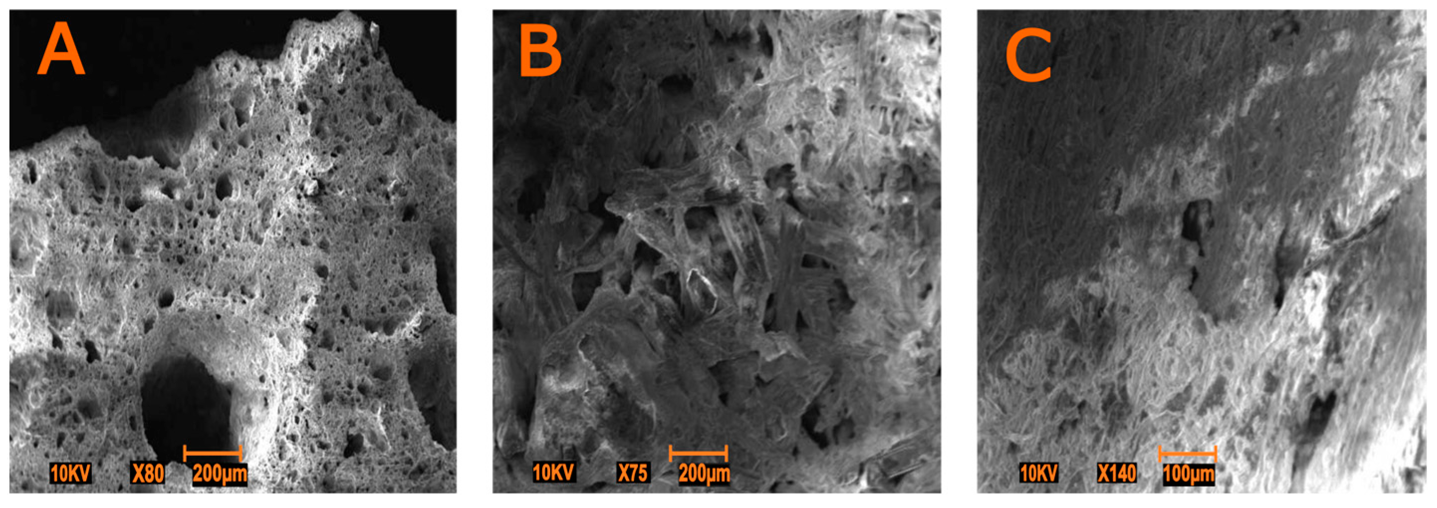 Minerals 13 01131 g004