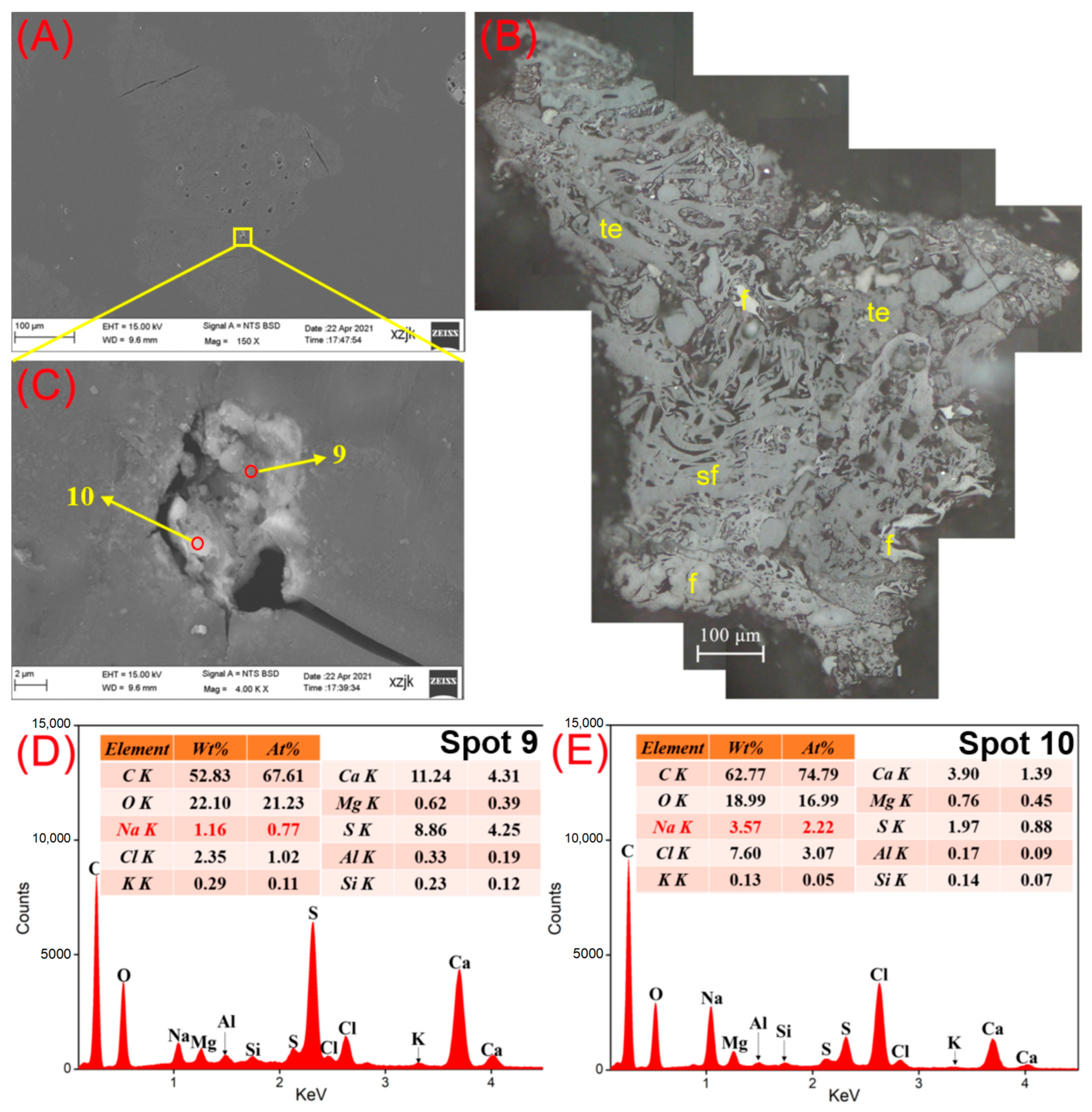 Minerals 13 01155 g010