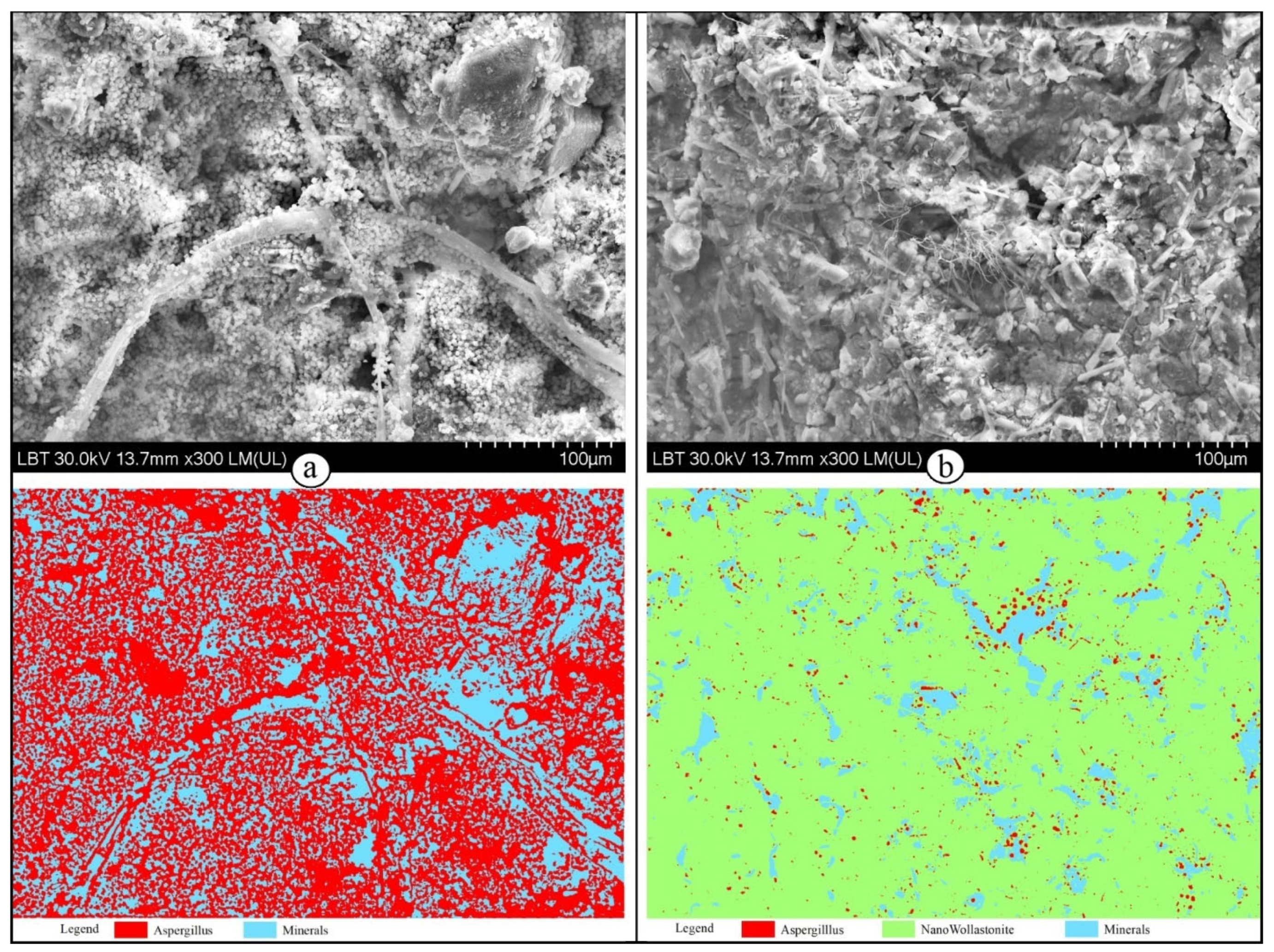 Minerals 13 01170 g010