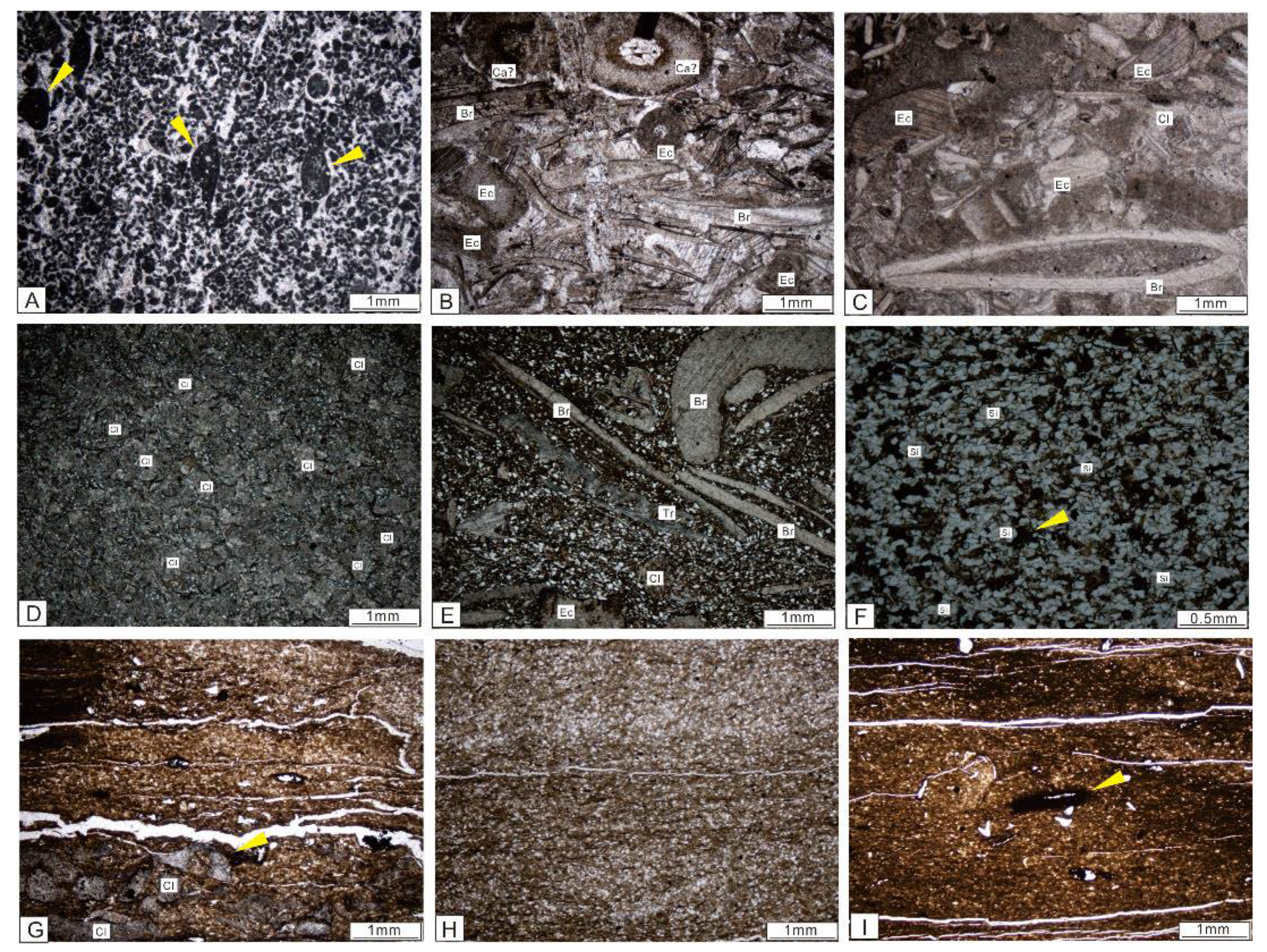 Minerals 13 01239 g007