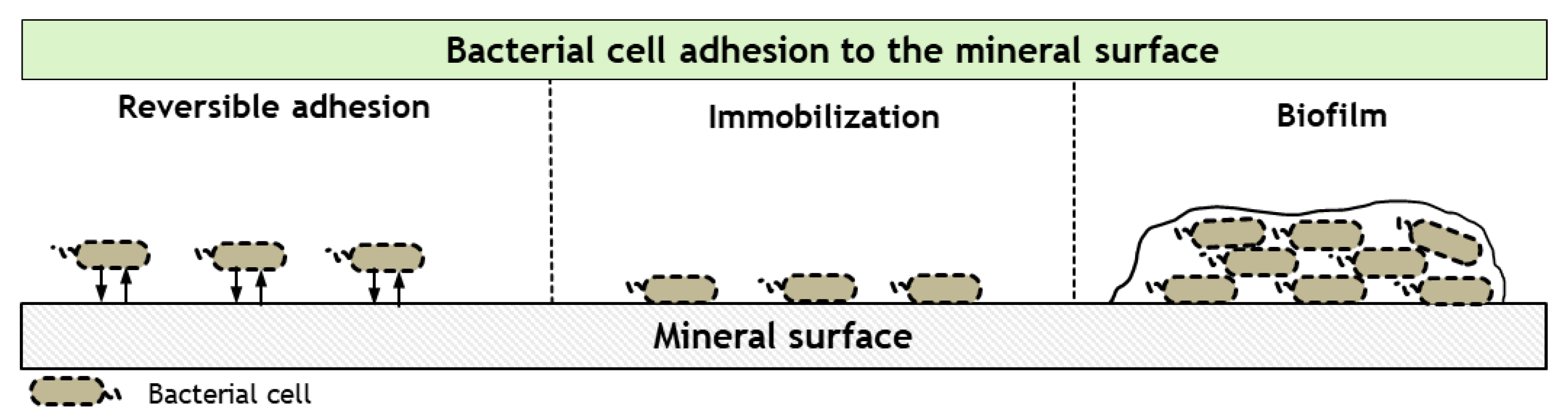 Minerals 13 01246 g002 Minerals 13 01246 g002