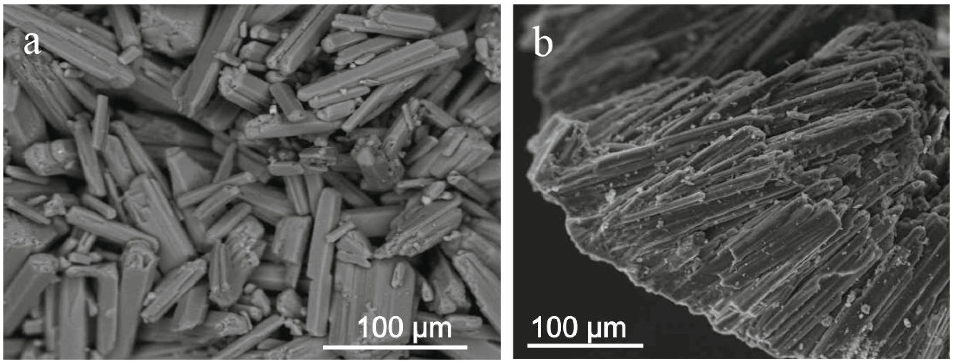 Minerals 13 01363 g004 Minerals 13 01363 g004