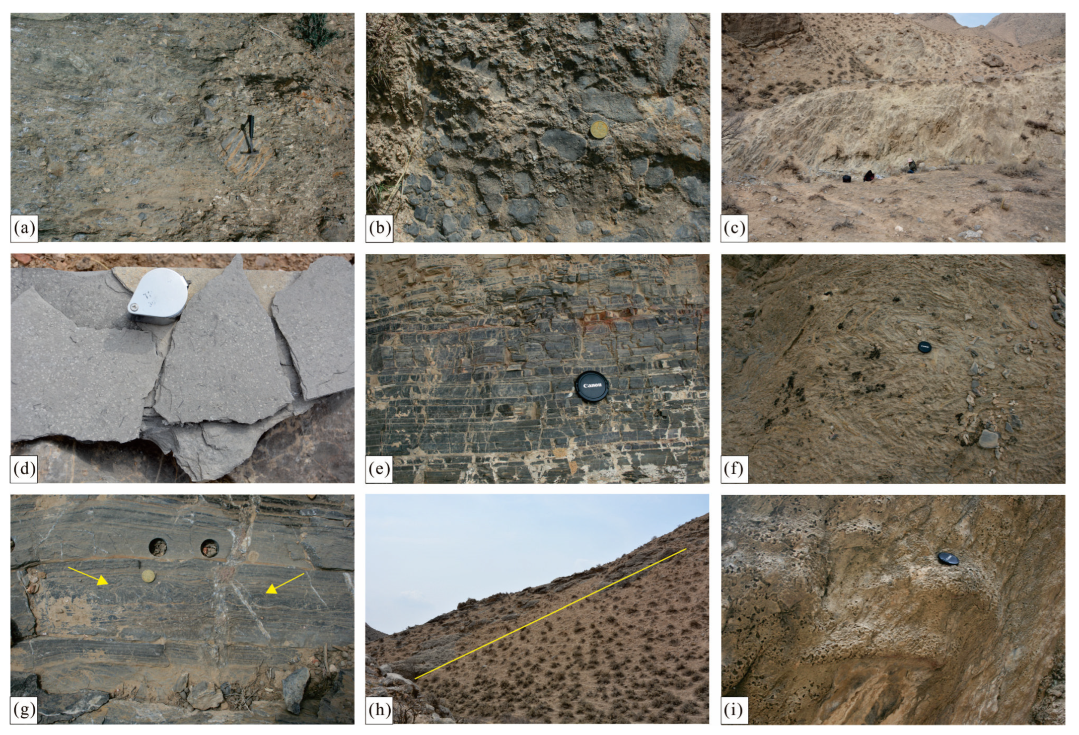 Minerals 13 01383 g004