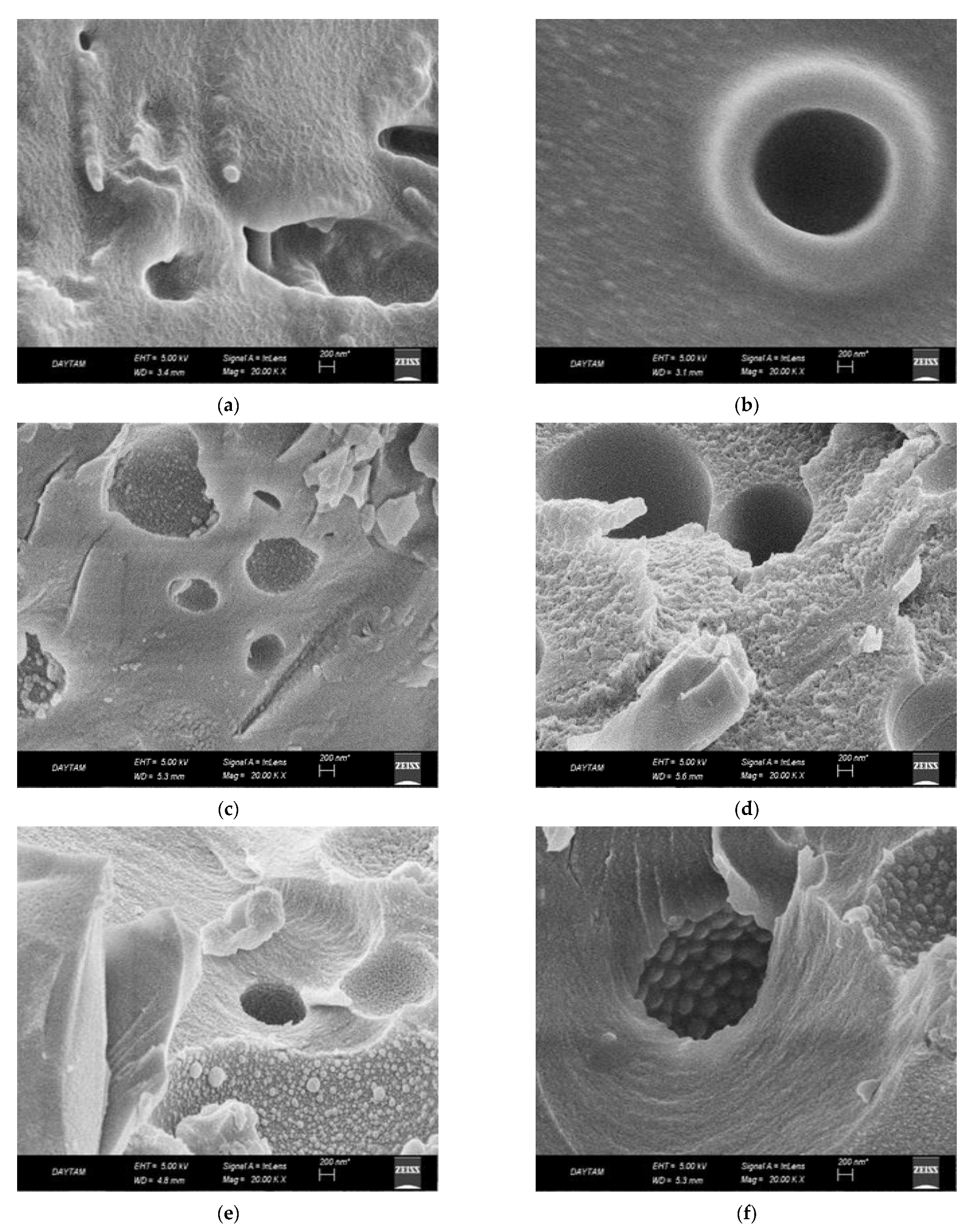 Minerals 13 01407 g003