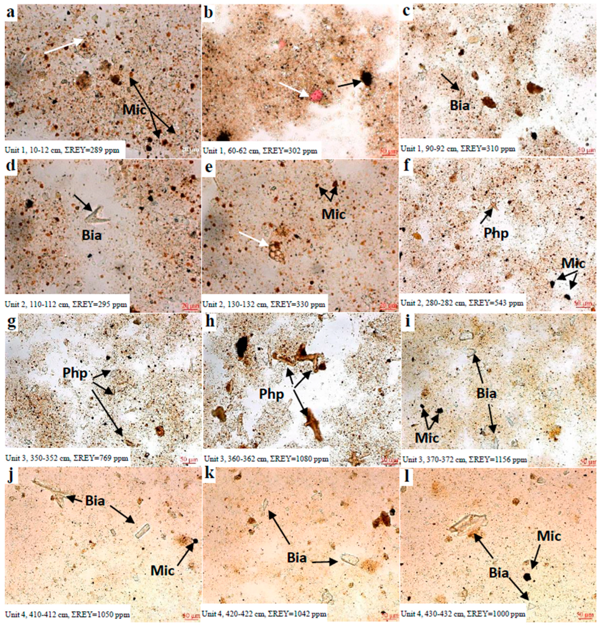 Minerals 13 01470 g002