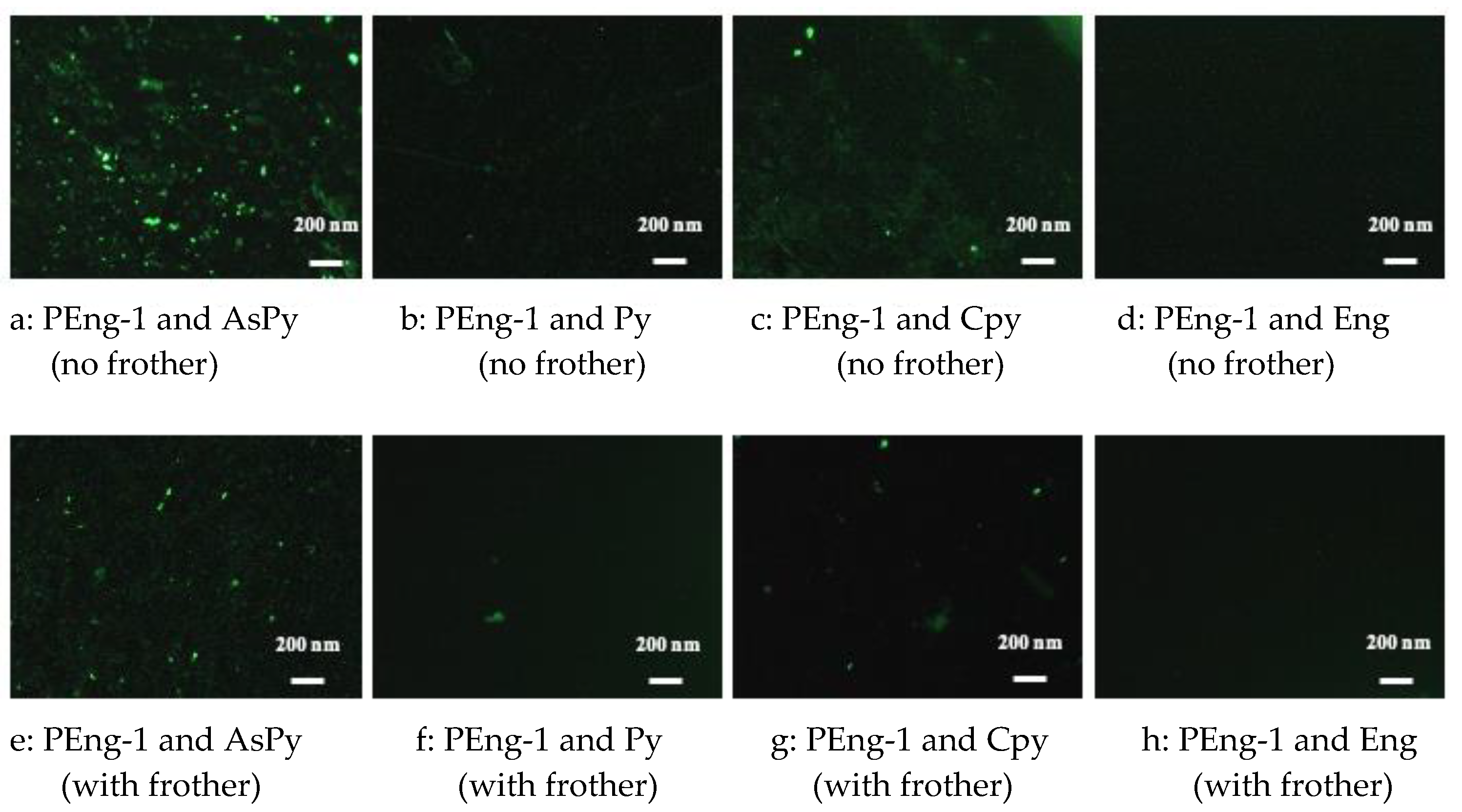 Minerals 14 00207 g005