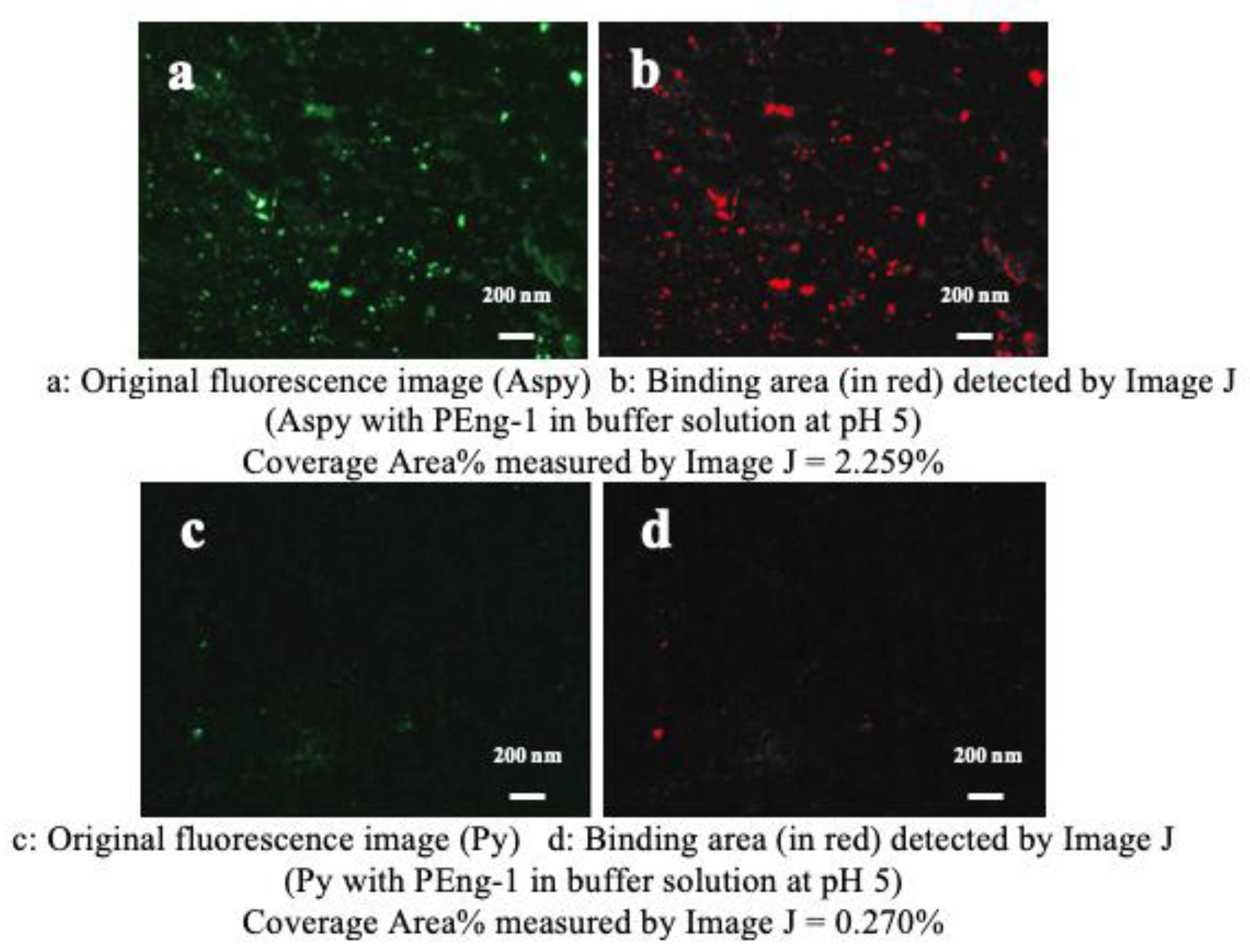 Minerals 14 00207 g006
