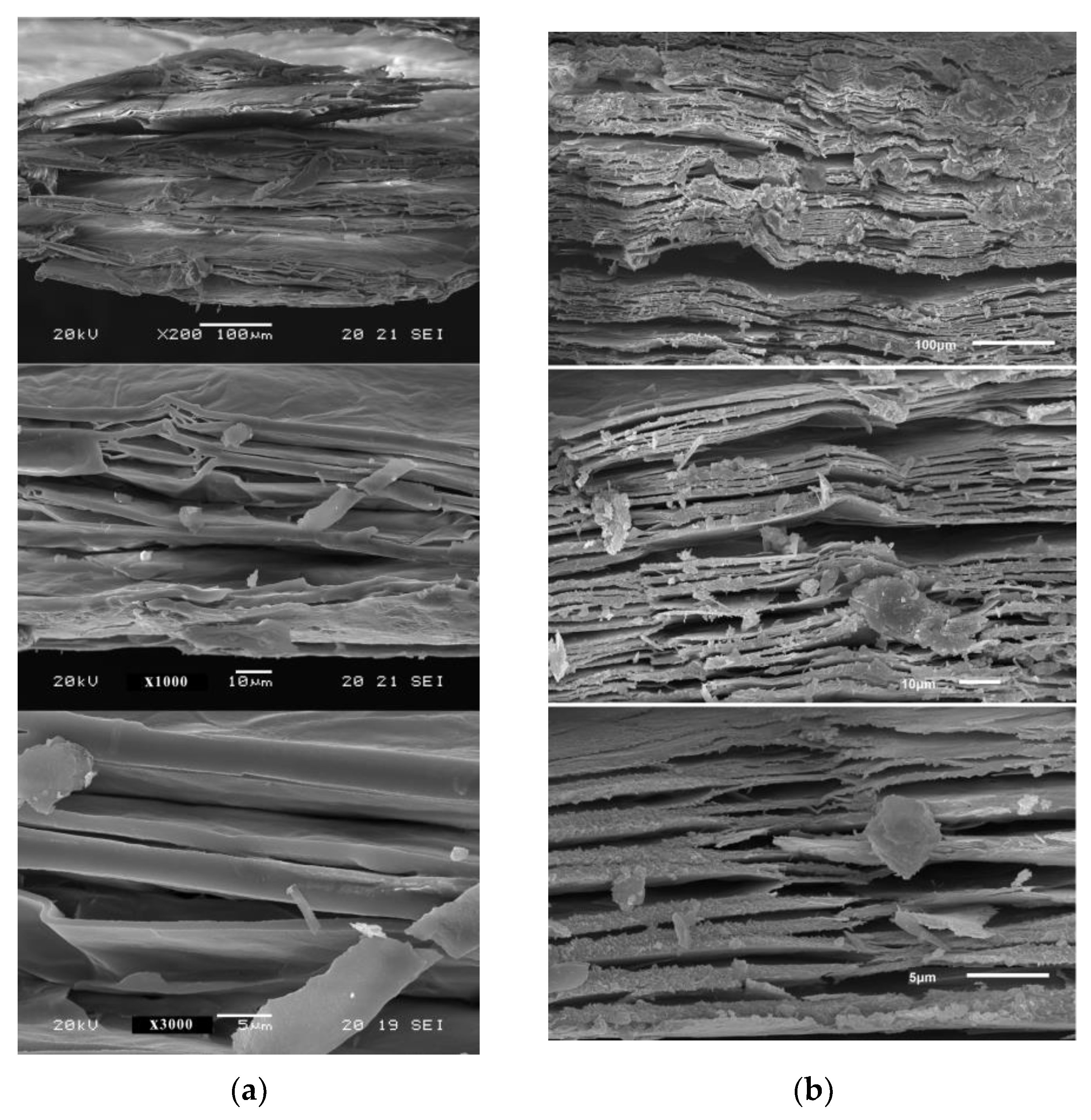 Minerals 14 00232 g005
