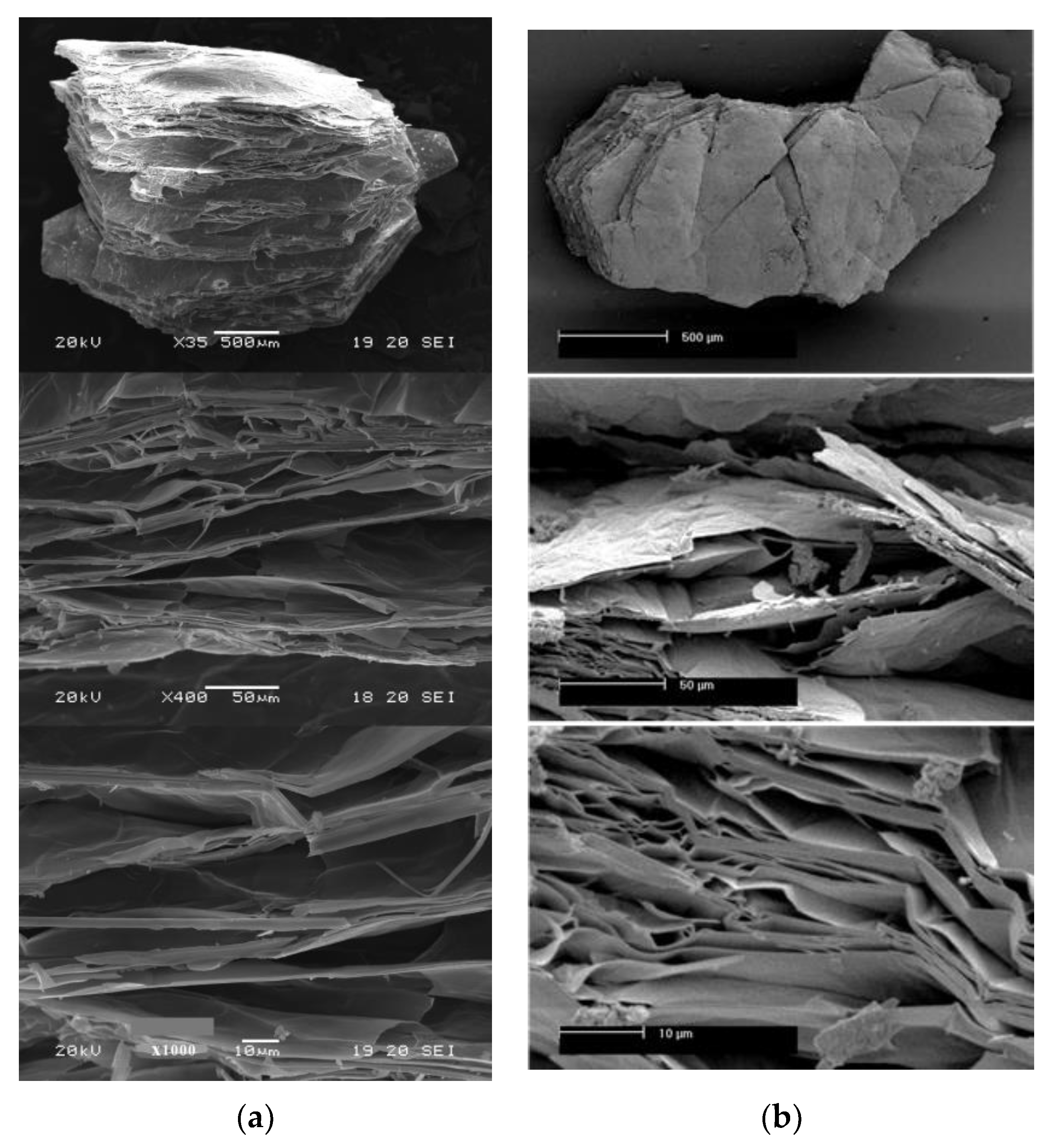 Minerals 14 00232 g006