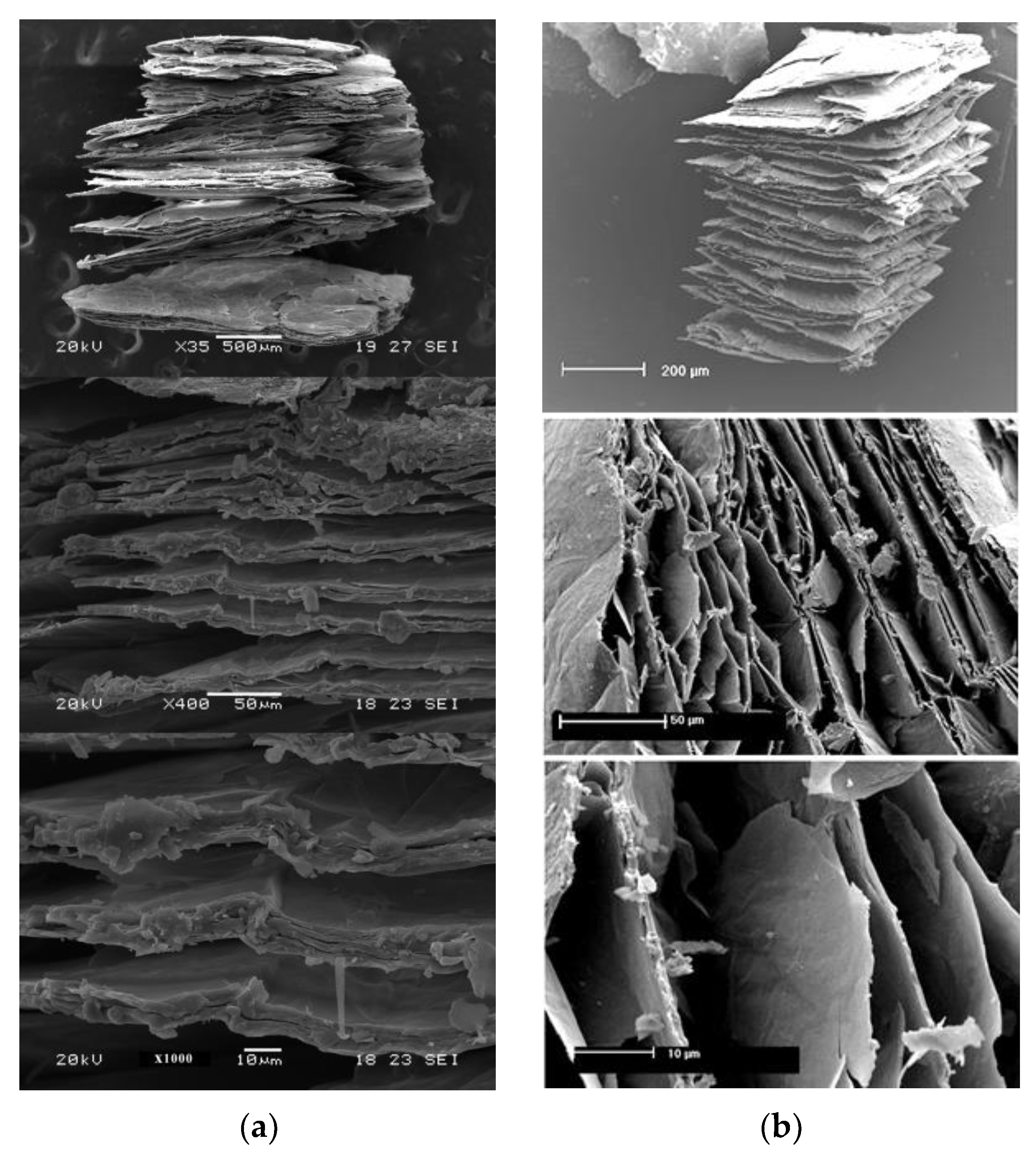 Minerals 14 00232 g007