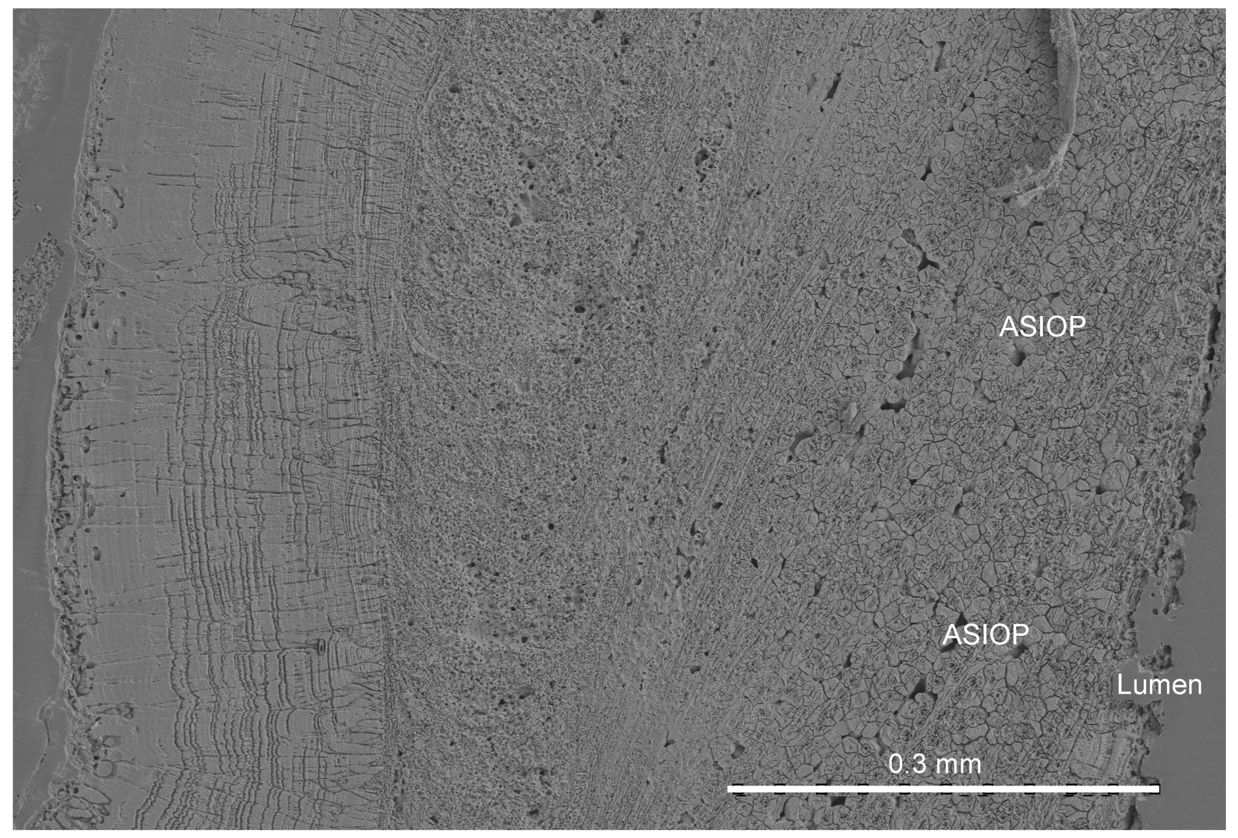 Minerals 14 00291 g001