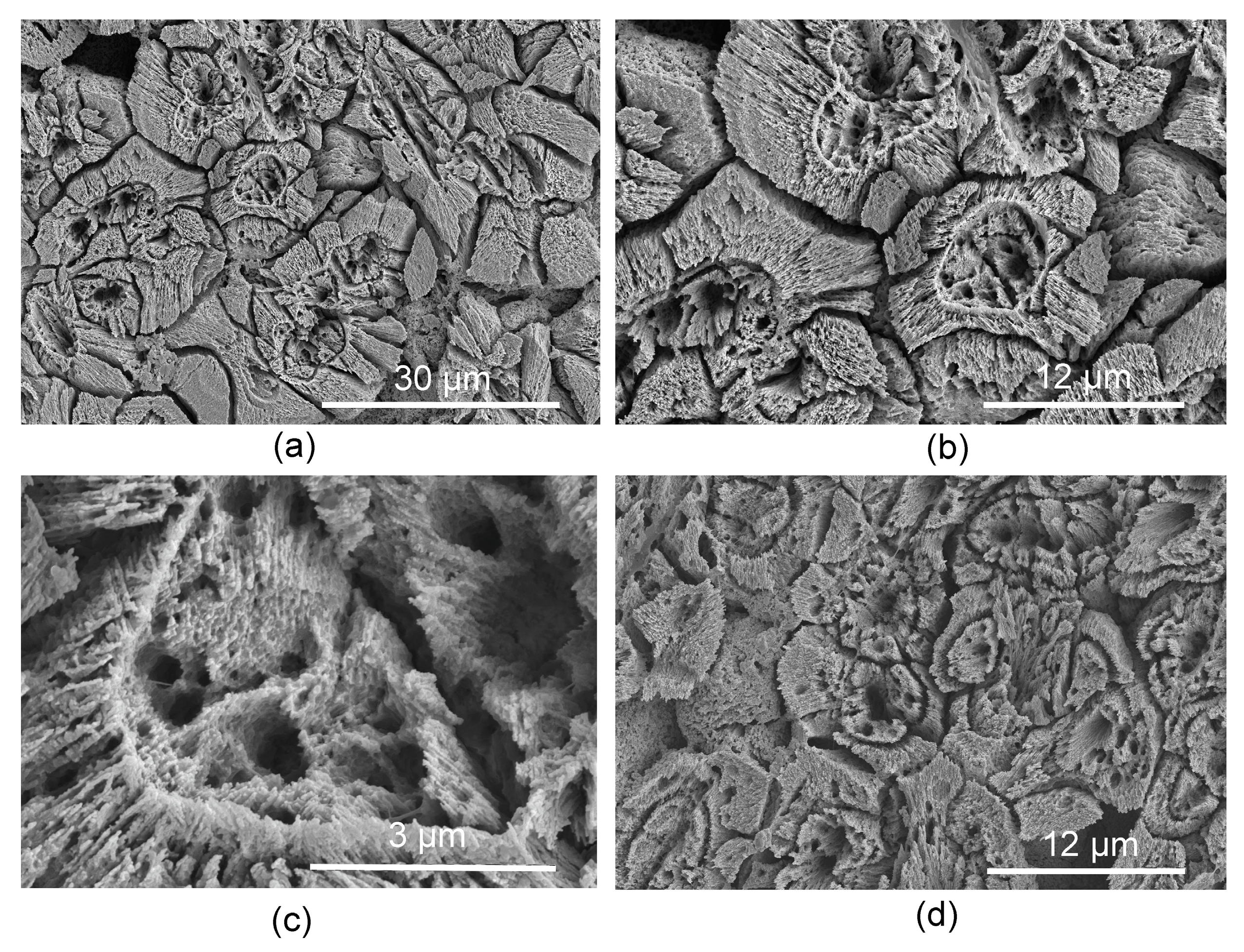Minerals 14 00291 g002