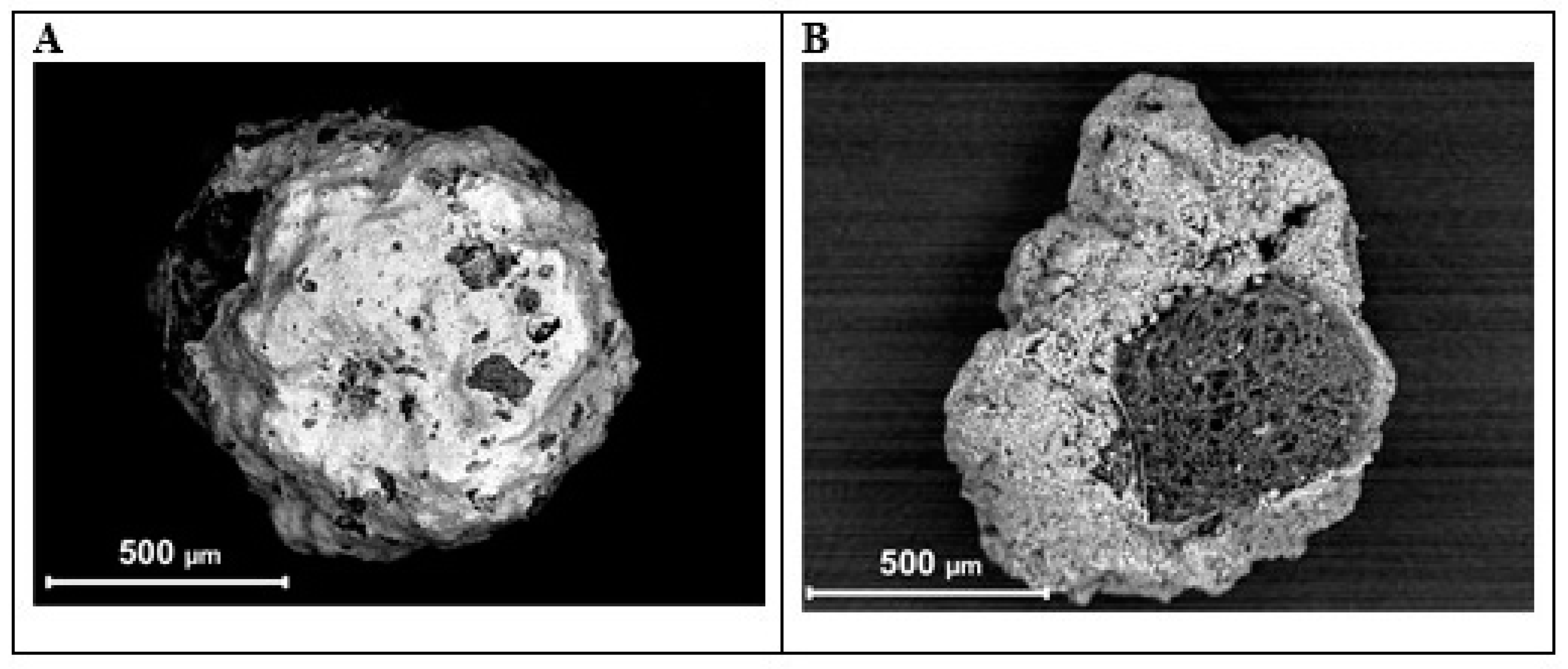 Minerals 14 00313 g002 Minerals 14 00313 g002