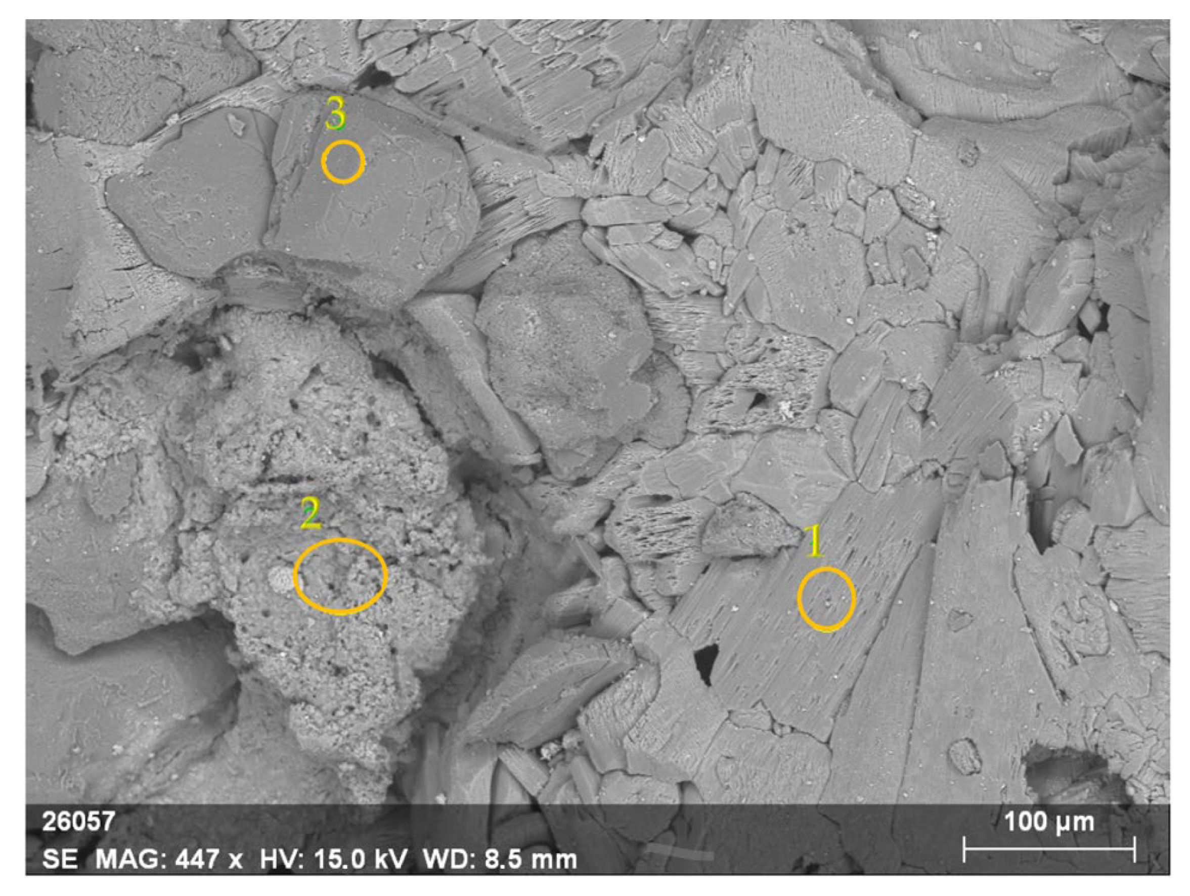 Minerals 14 00322 g010