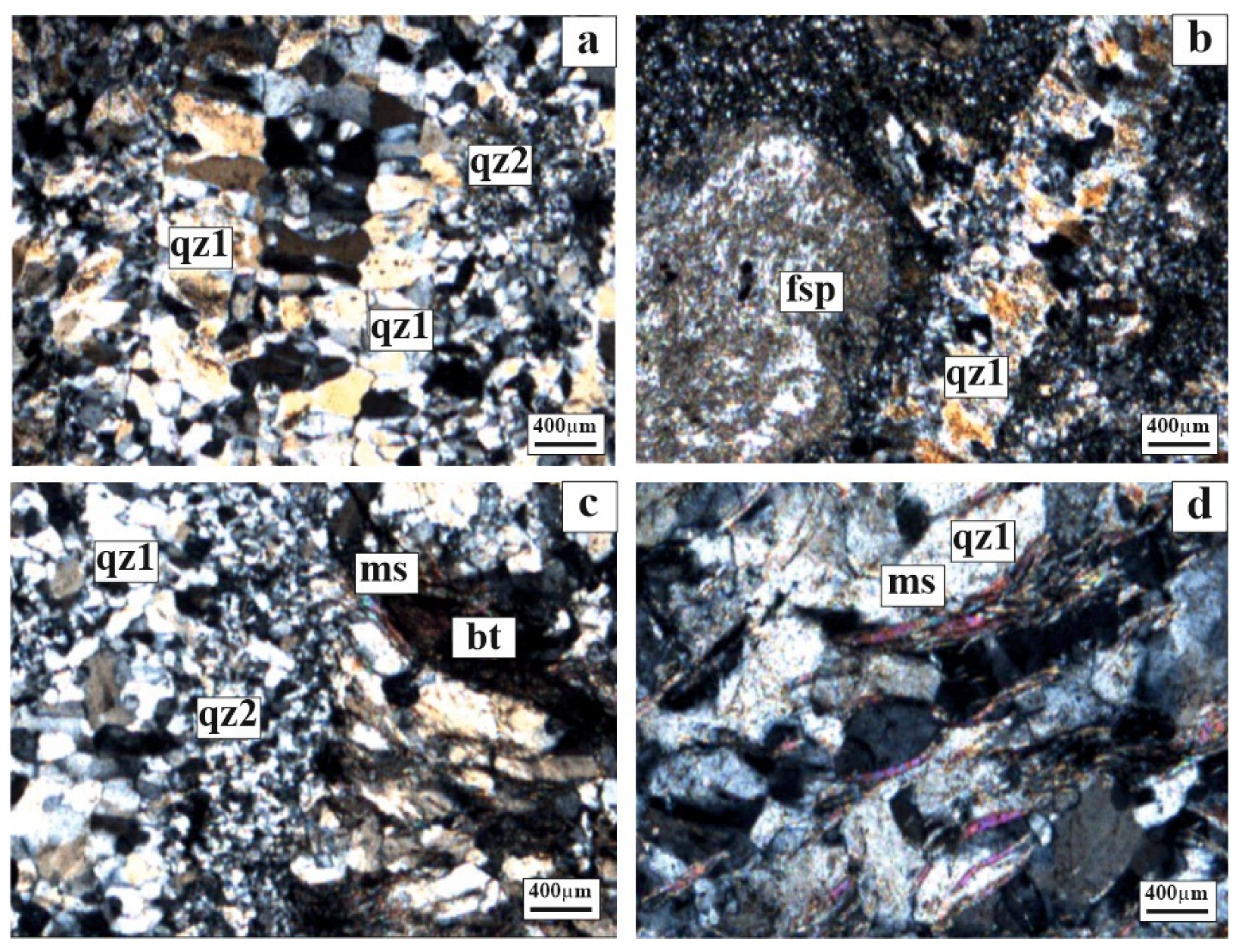 Minerals 14 00379 g006a