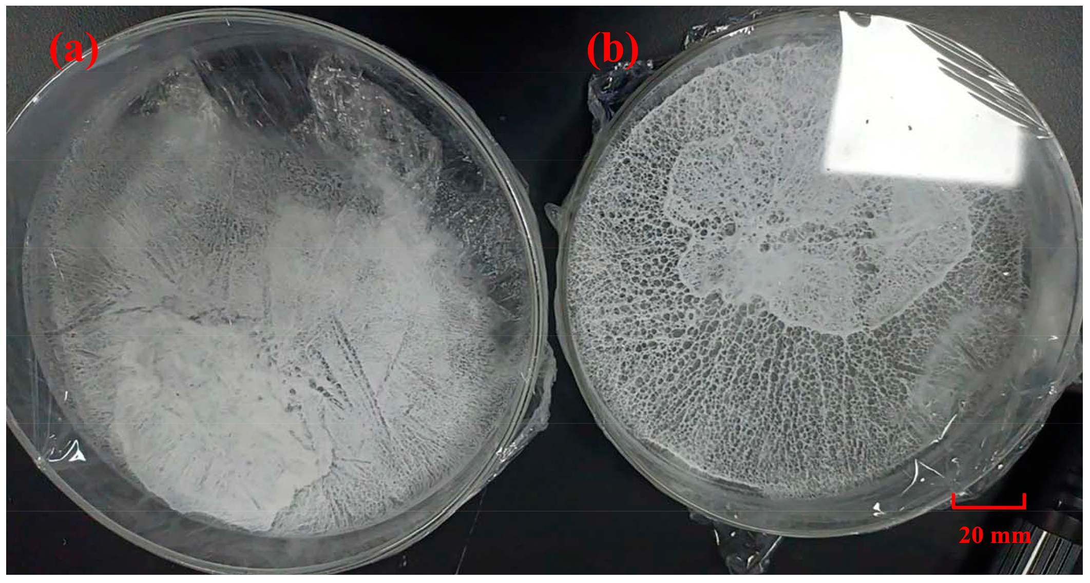 Minerals 14 00405 g007
