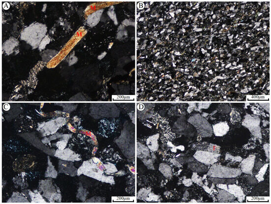 Minerals | Free Full-Text | A Genetic Mechanism for Chemical 