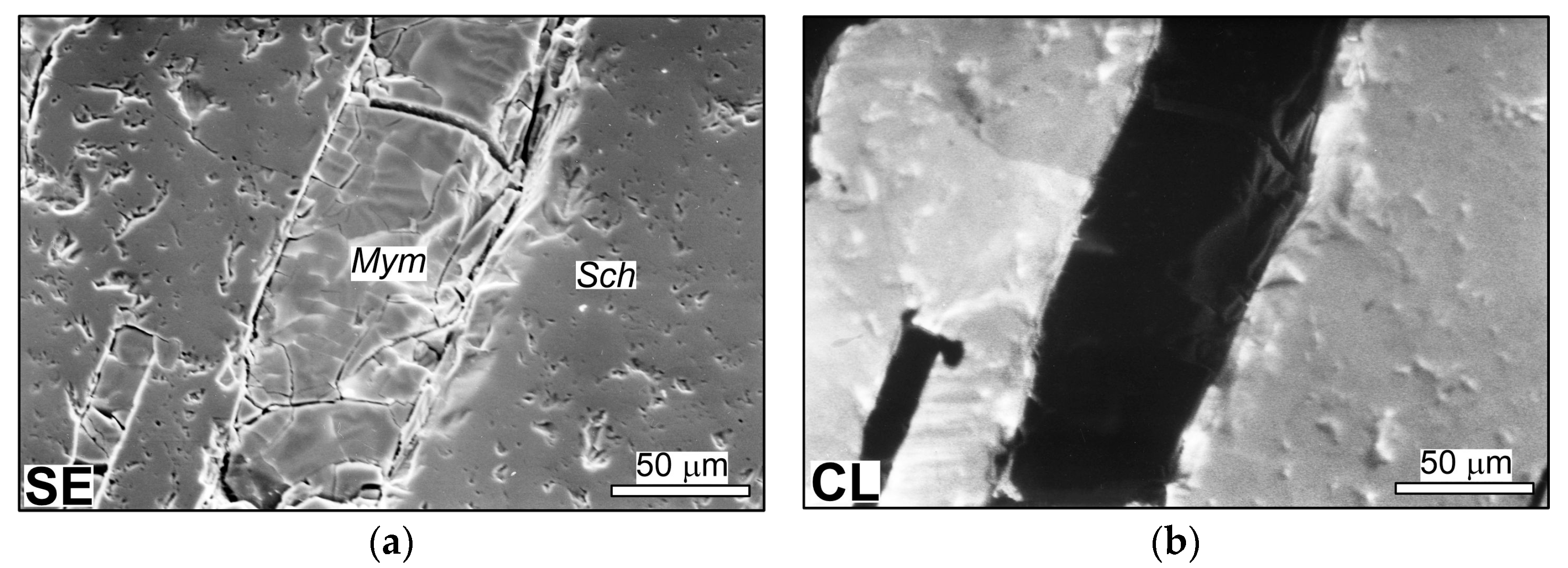 Minerals 14 00422 g001 Minerals 14 00422 g001