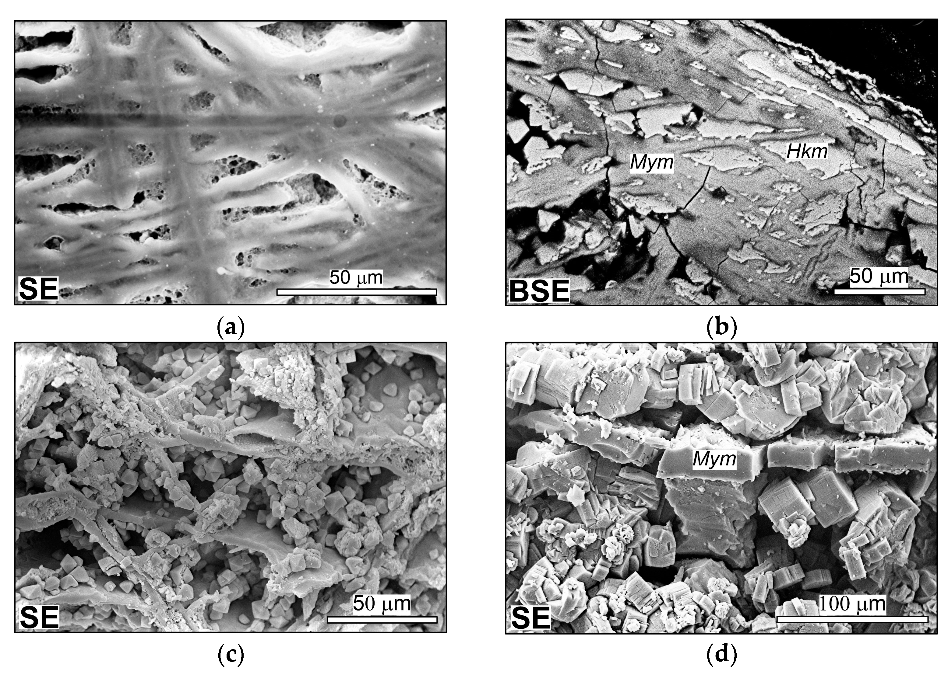 Minerals 14 00422 g003 Minerals 14 00422 g003
