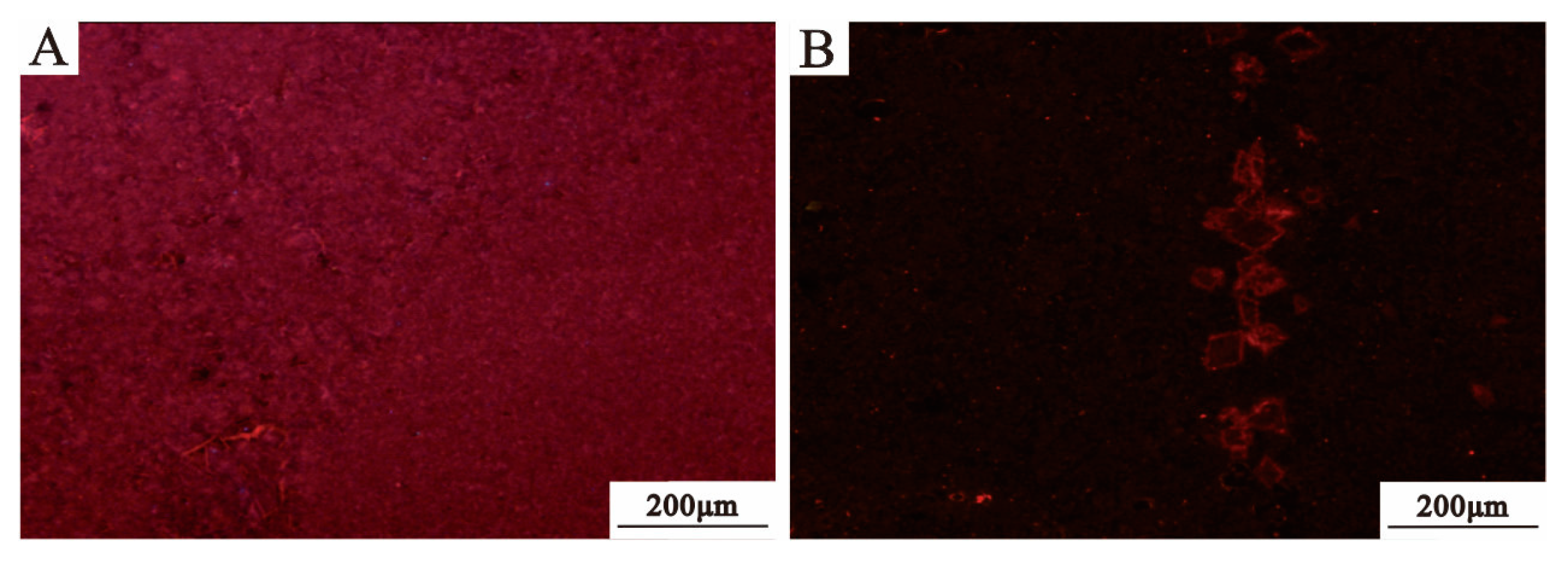 Minerals 14 00545 g005
