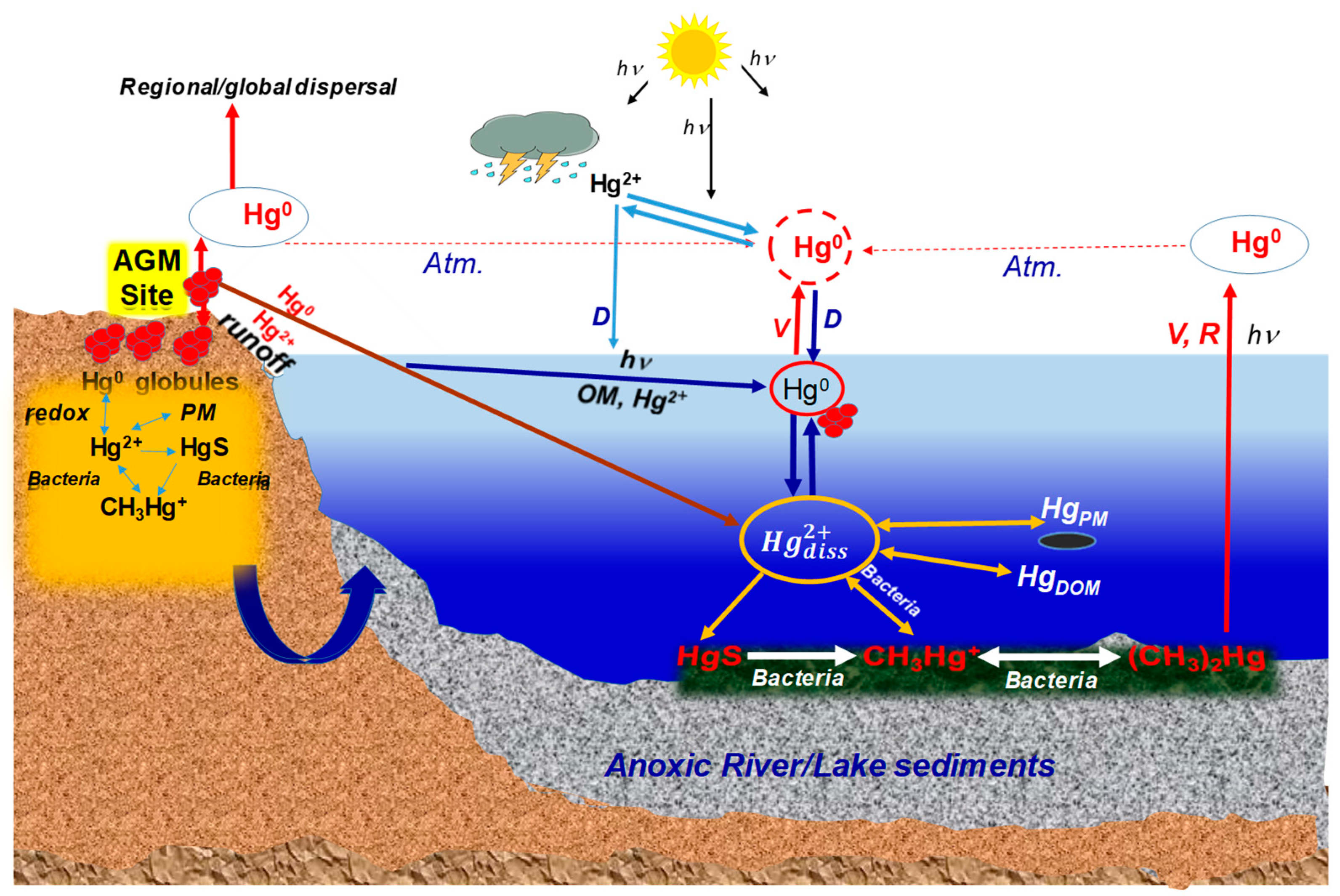 Minerals 14 00555 g004
