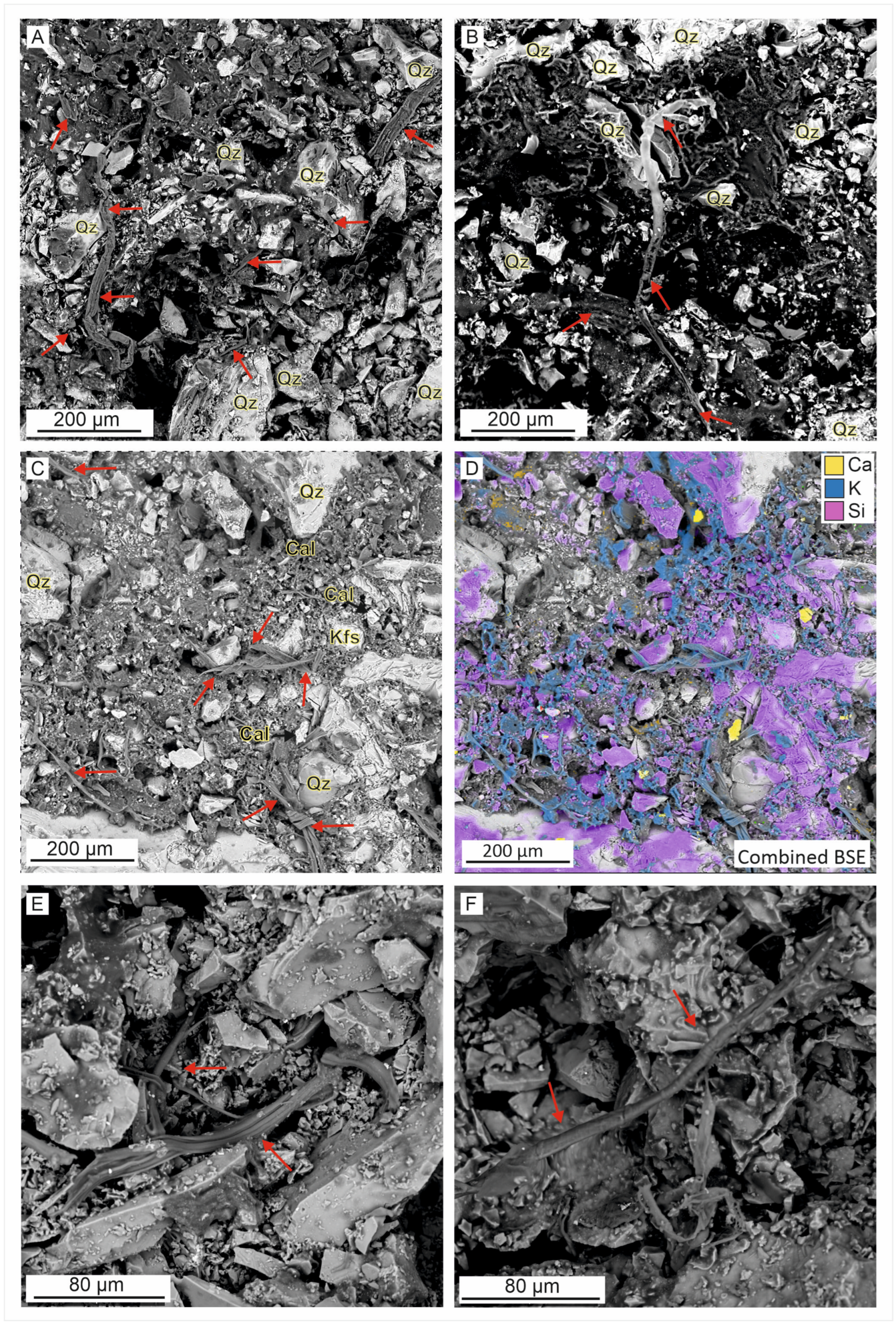 Minerals 14 00586 g004