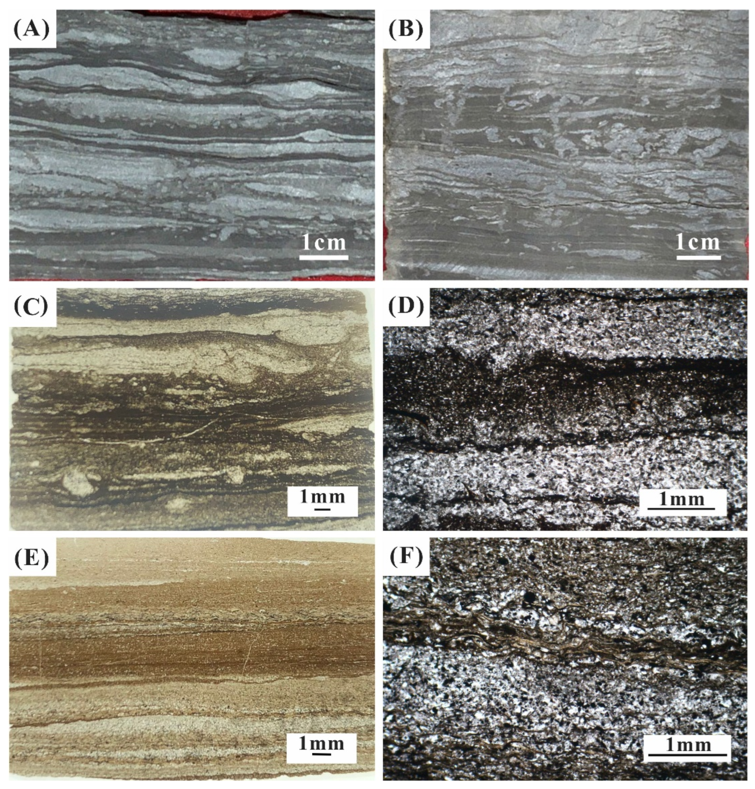 Minerals 14 00600 g003
