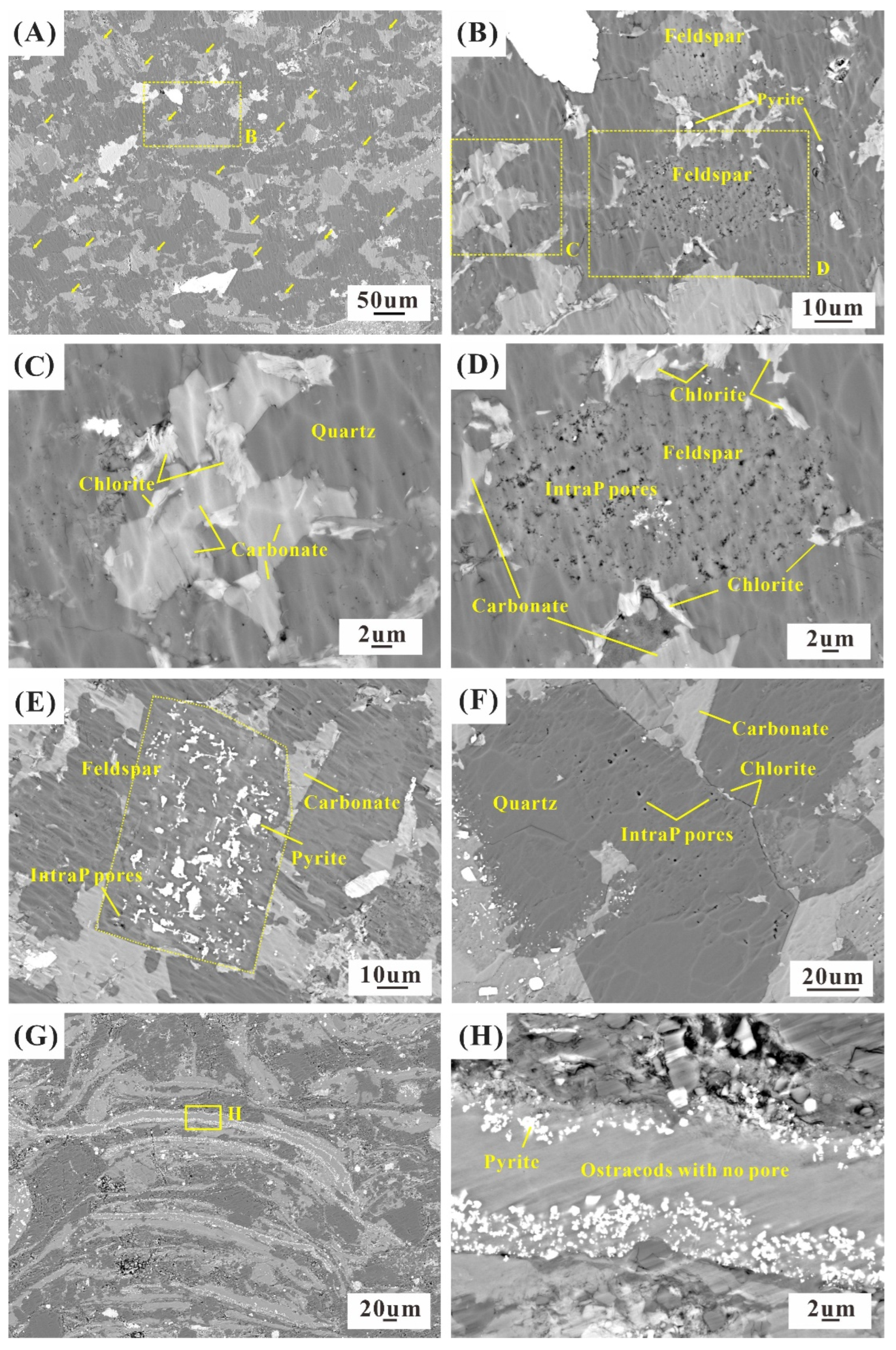 Minerals 14 00600 g004