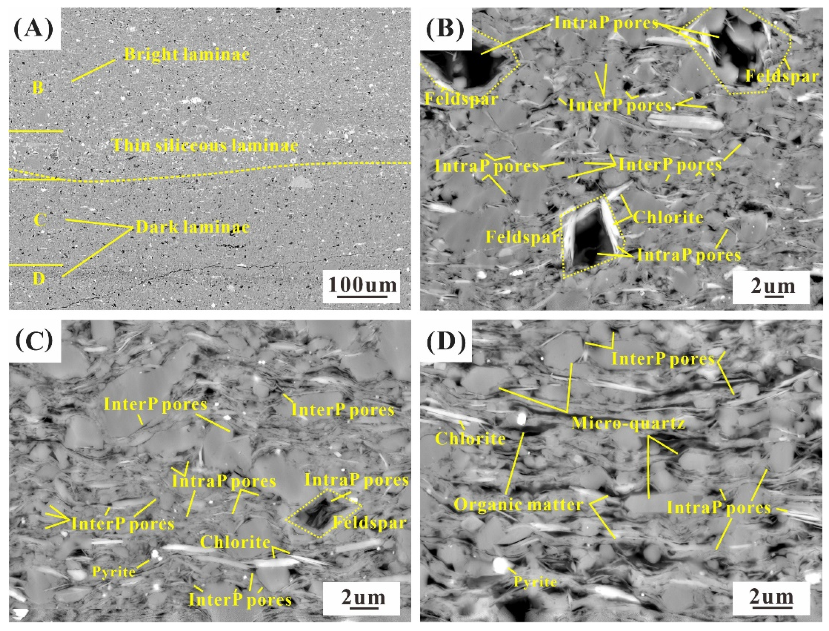 Minerals 14 00600 g008