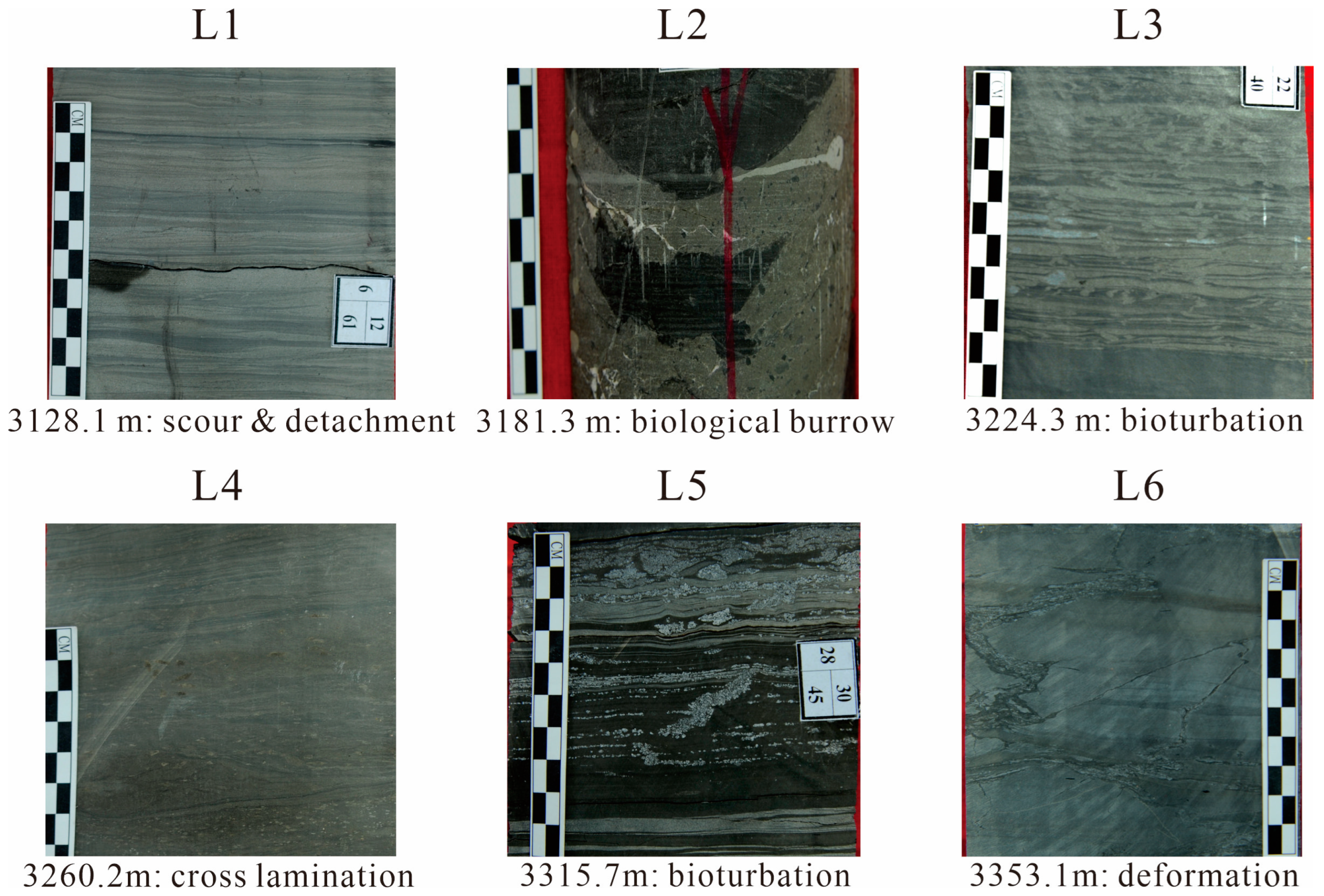 Minerals 14 00635 g003