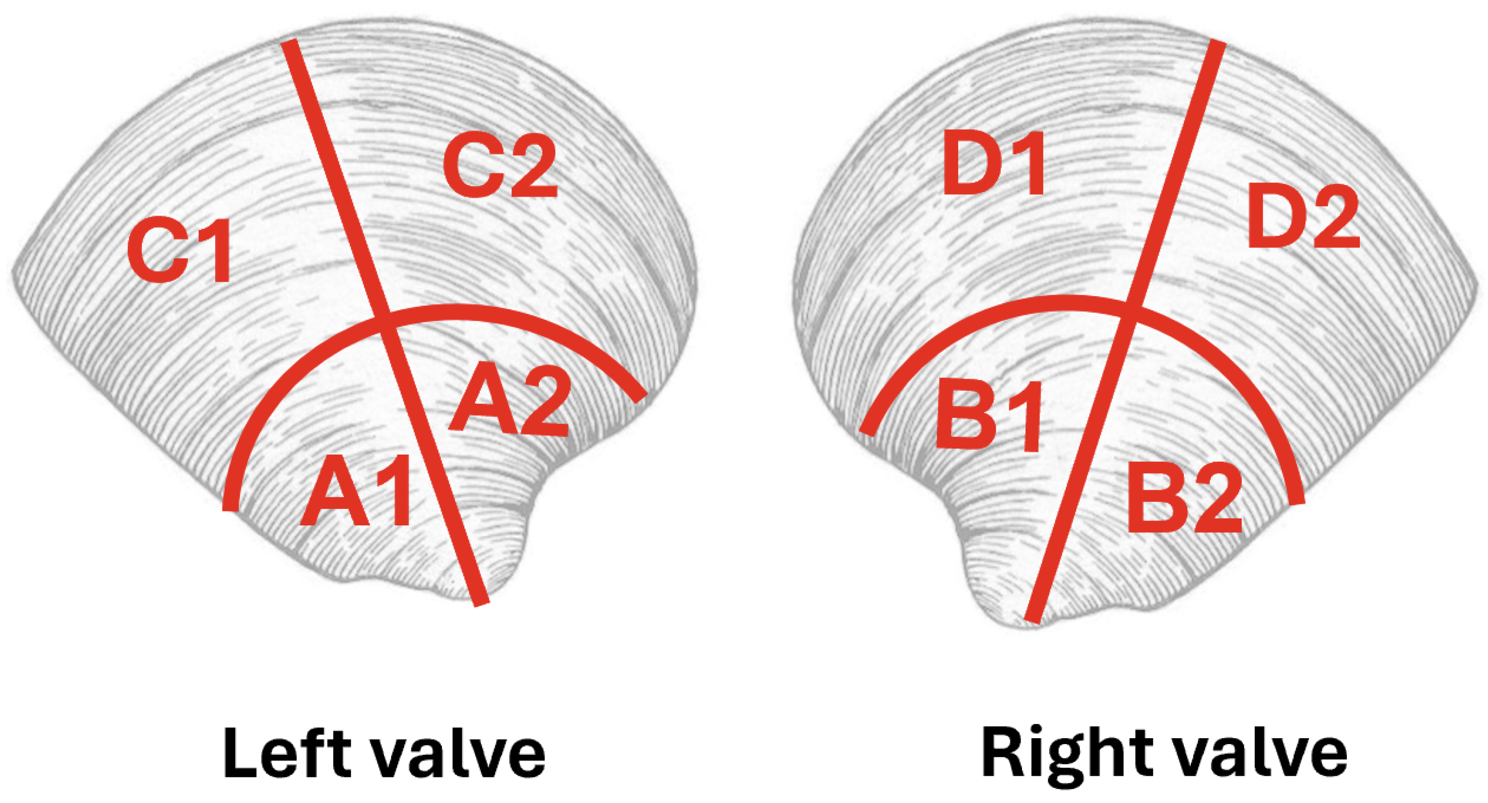 Minerals 14 00682 g002