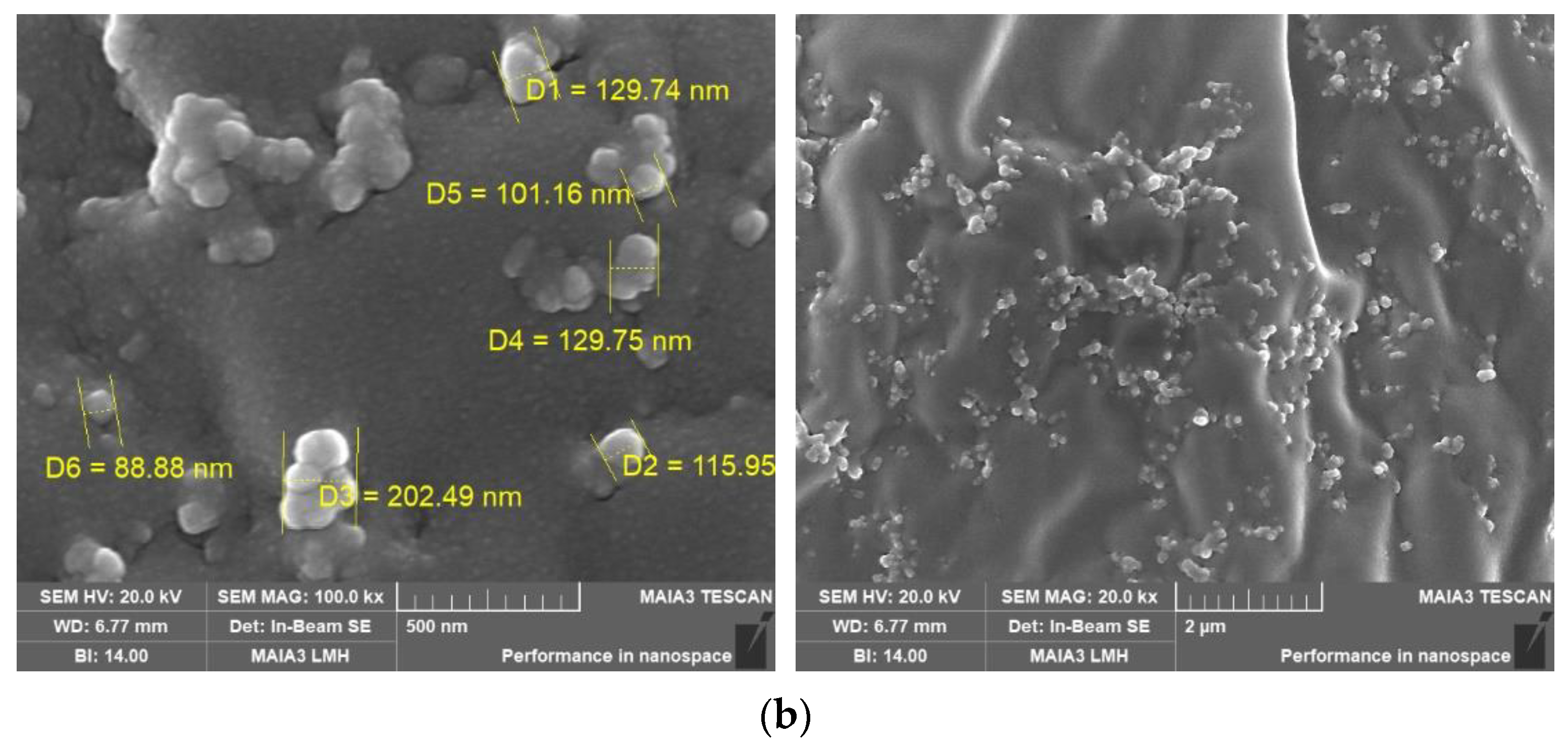Minerals 14 00696 g011b