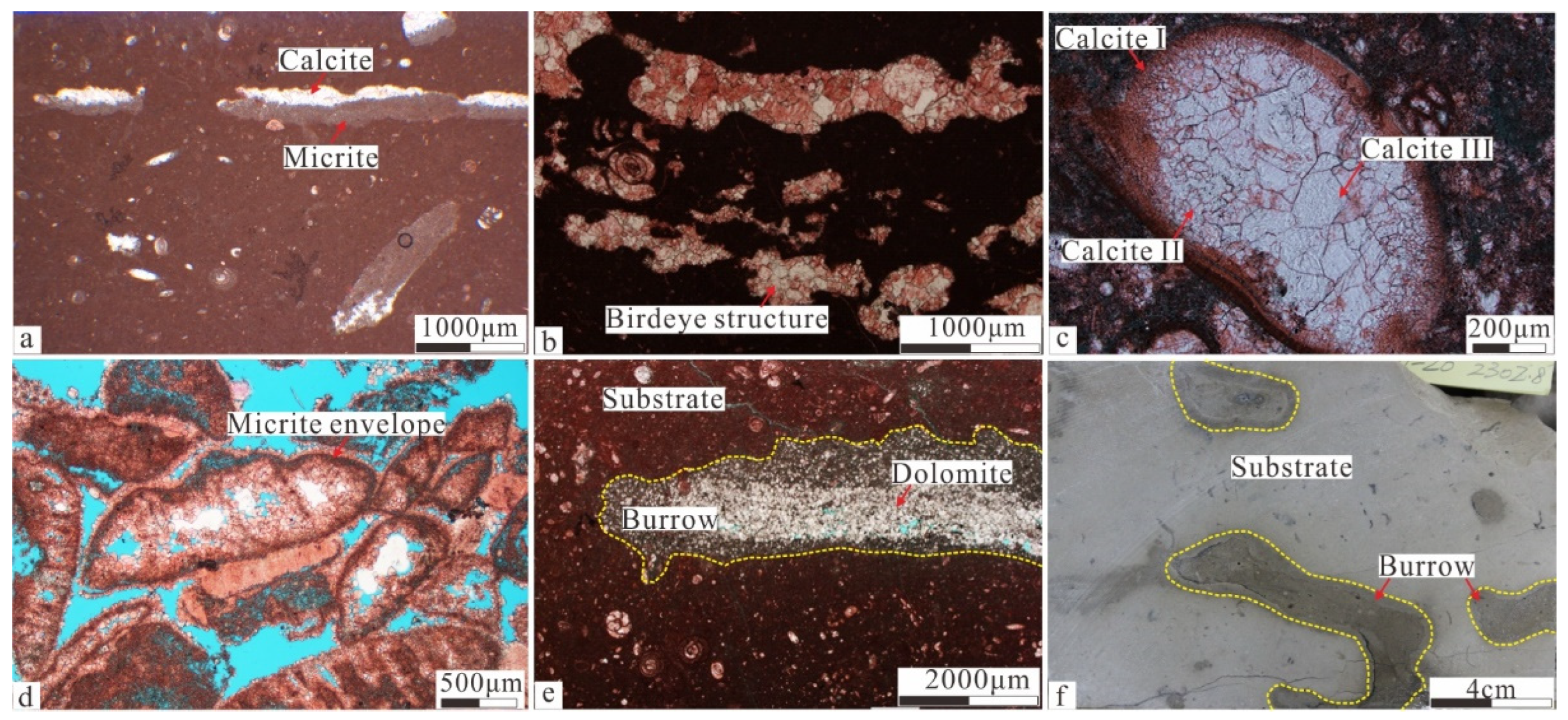 Minerals 14 00769 g004