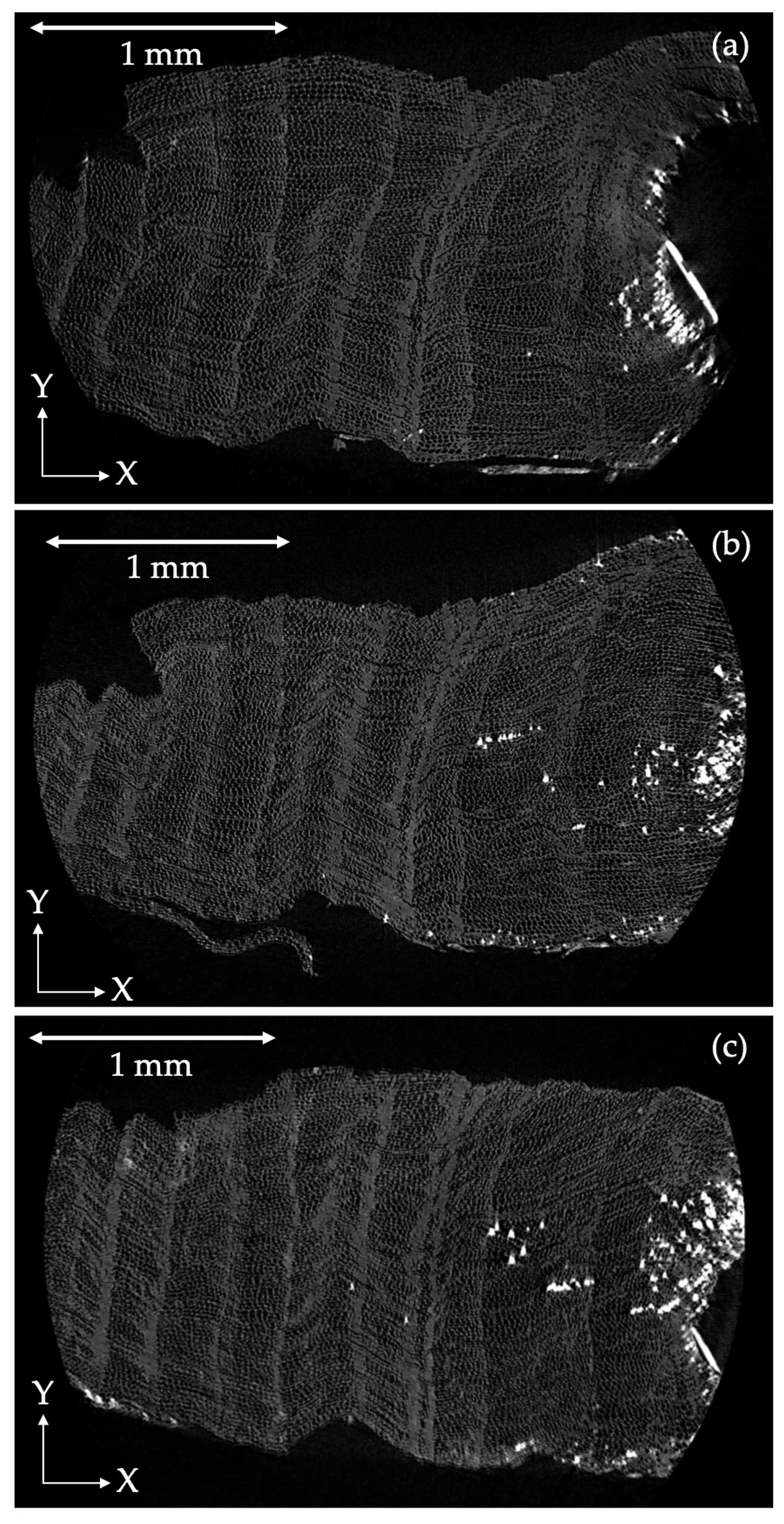 Minerals 14 00778 g010