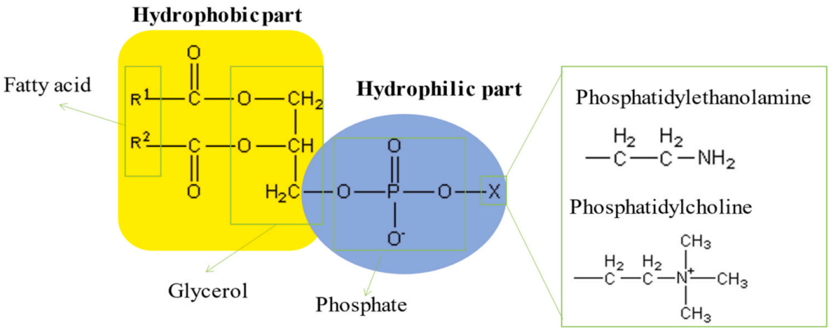 Minerals 14 00828 g014