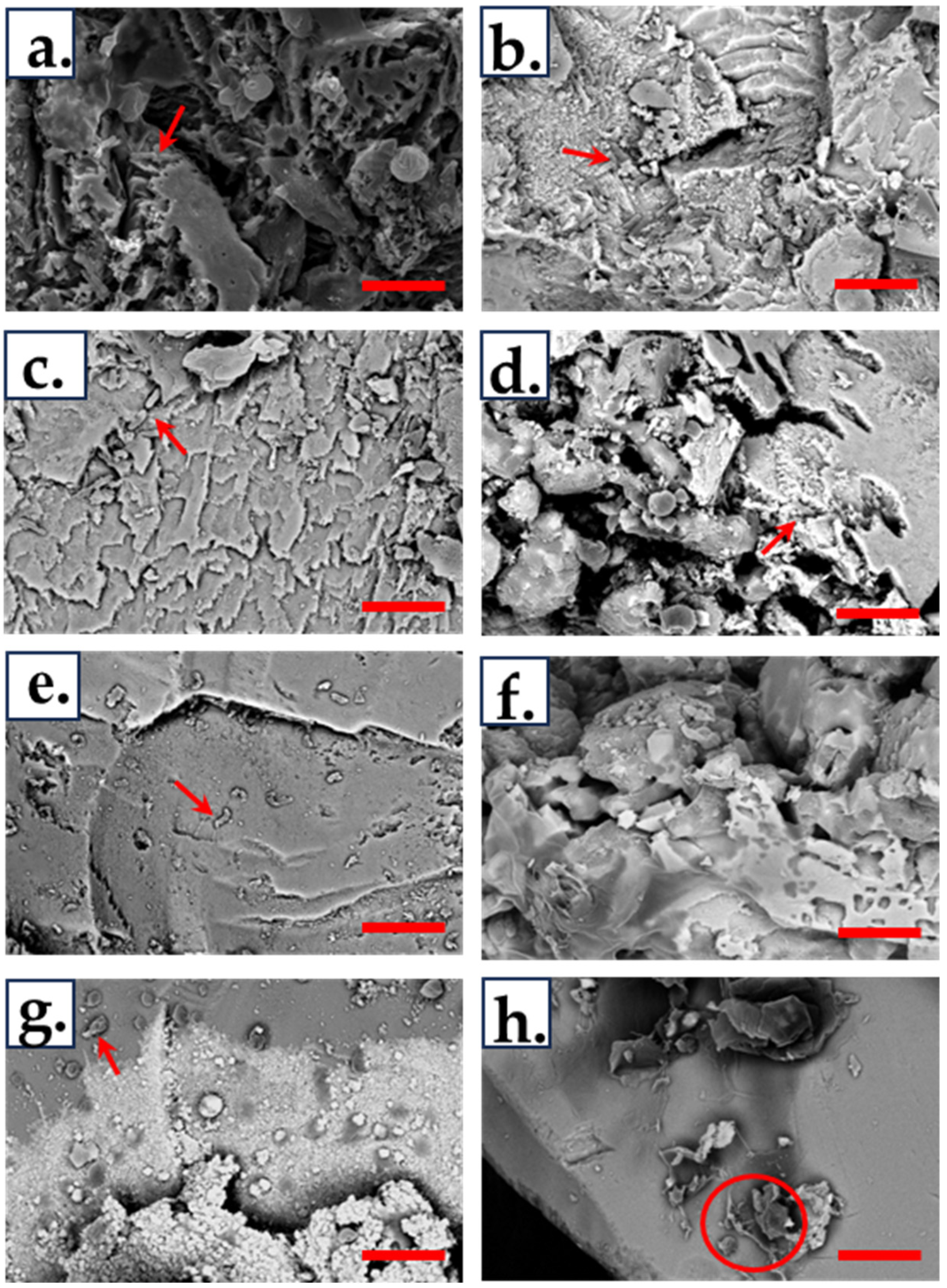 Minerals 14 00867 g008