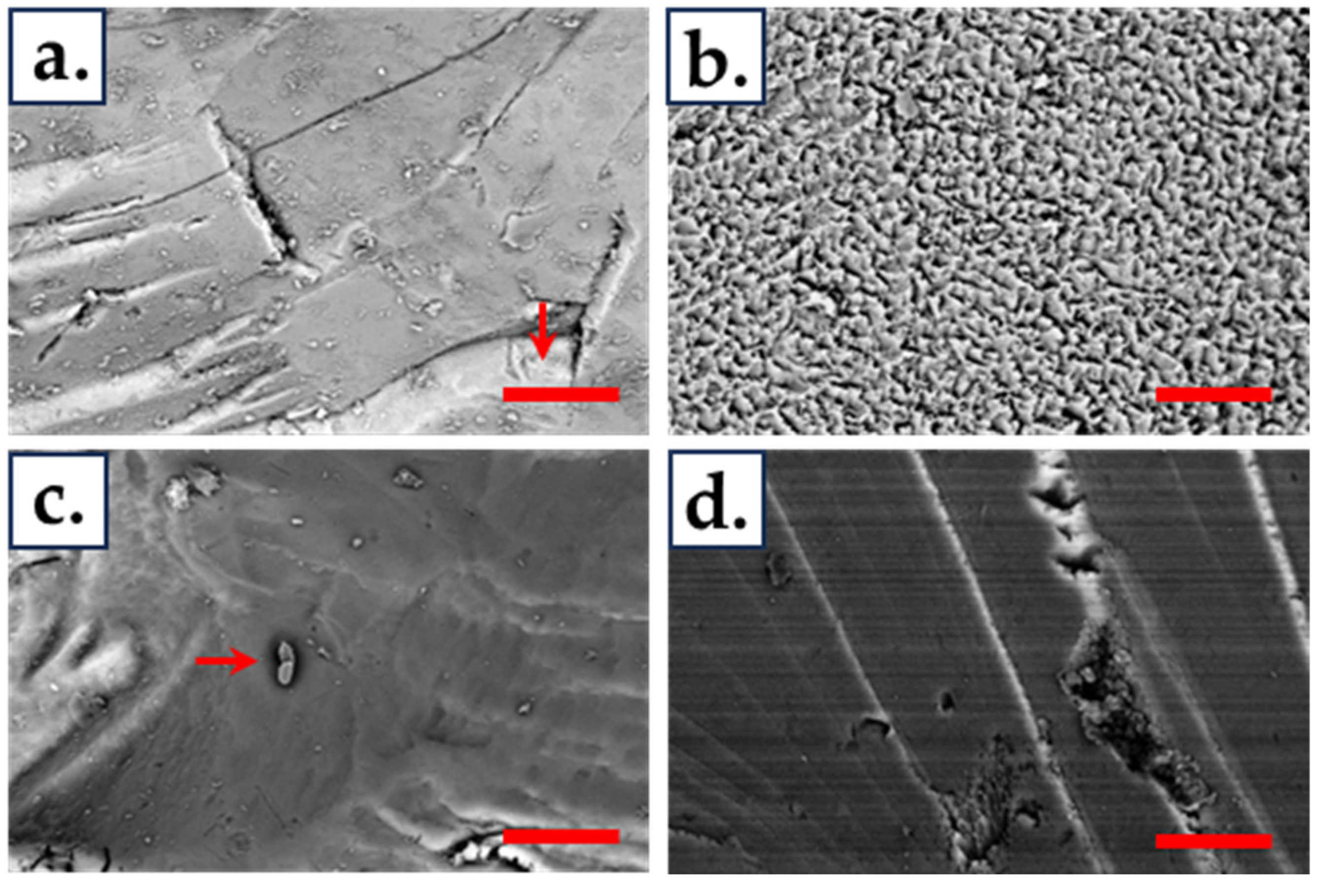 Minerals 14 00867 g010