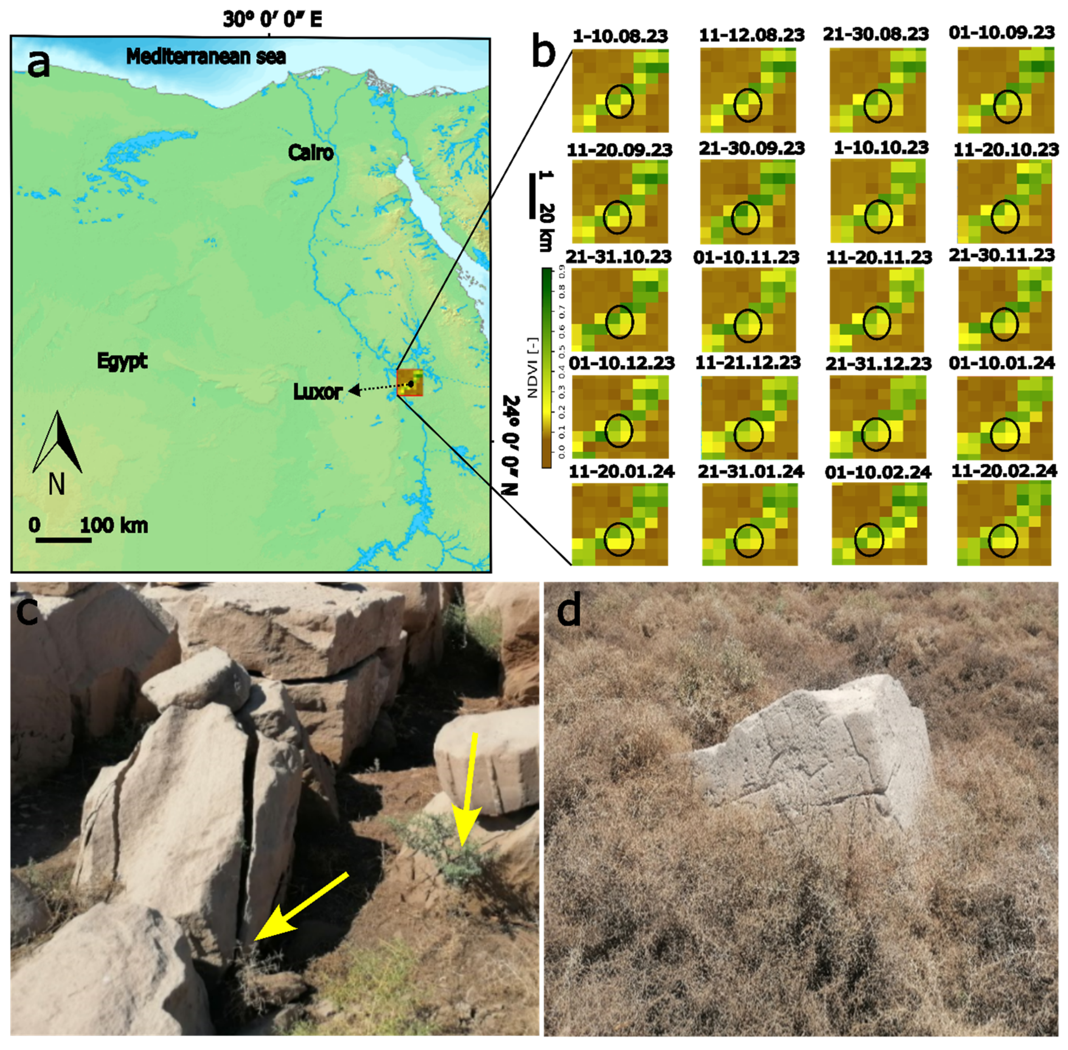 Minerals 14 00890 g012