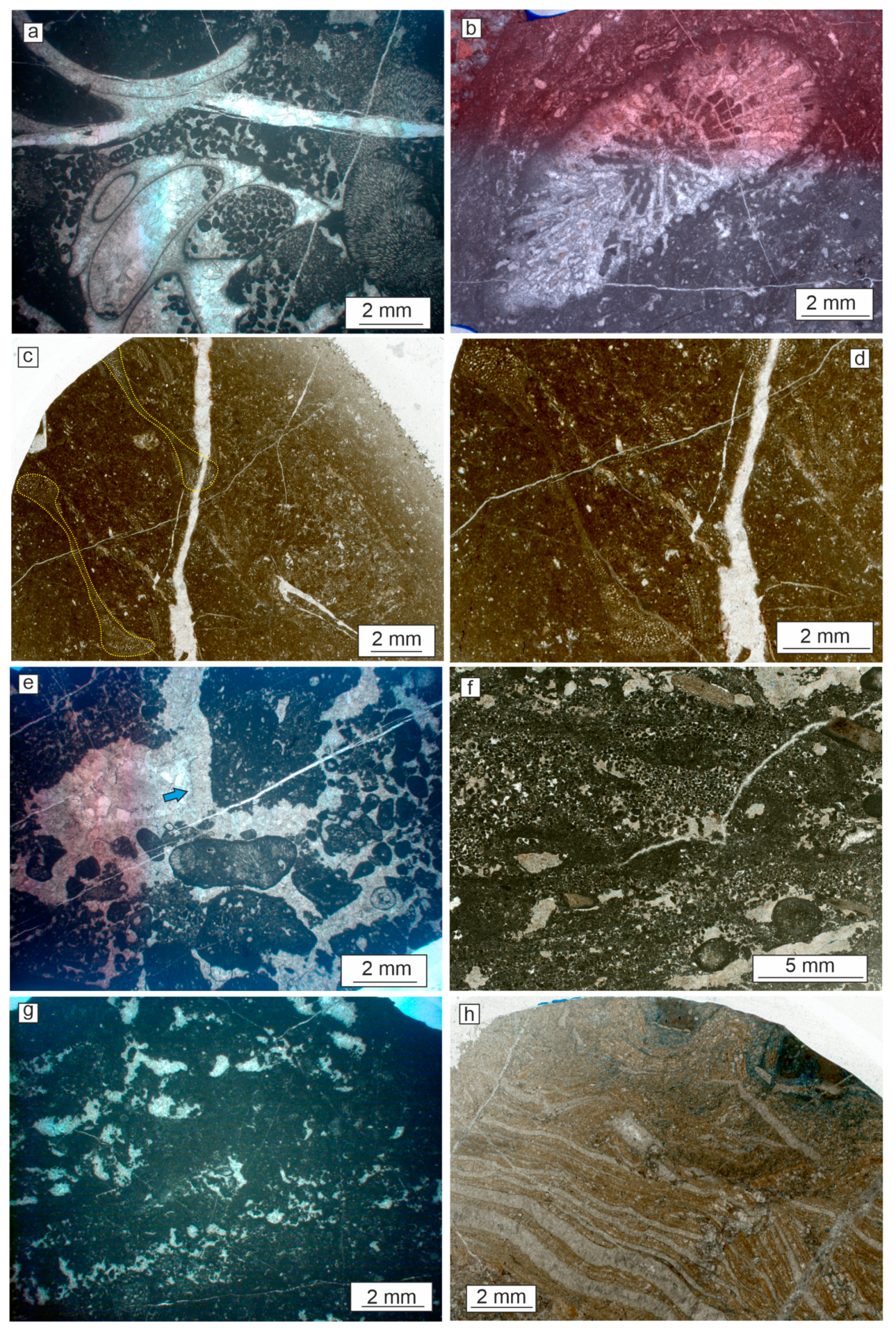 Minerals 14 00908 g012