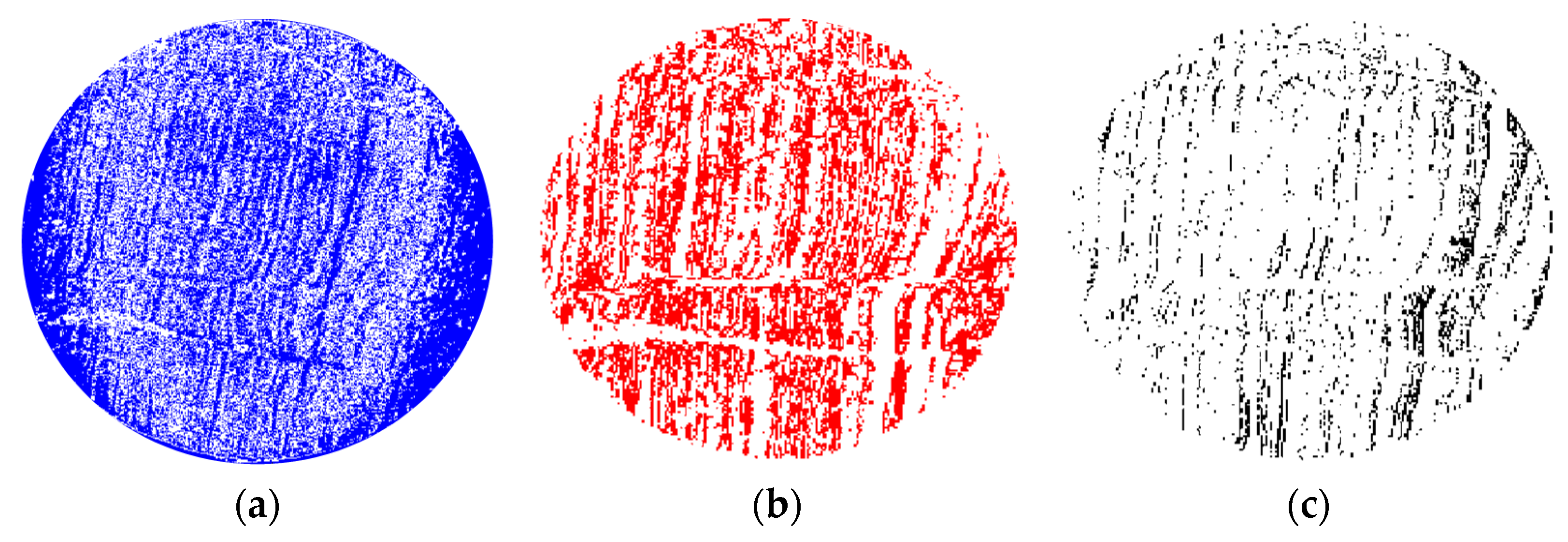 Minerals 14 00959 g006